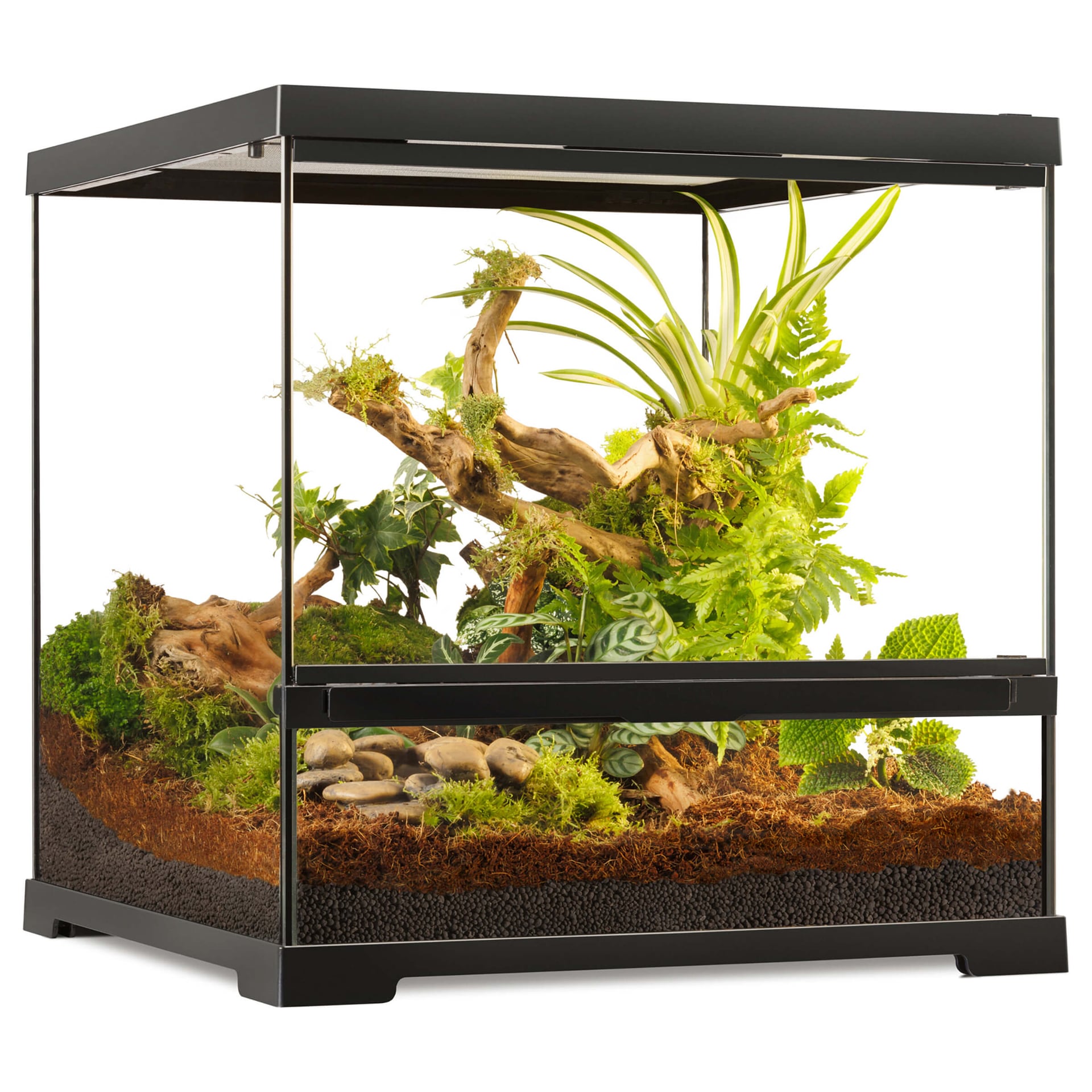 Terrarium Pro