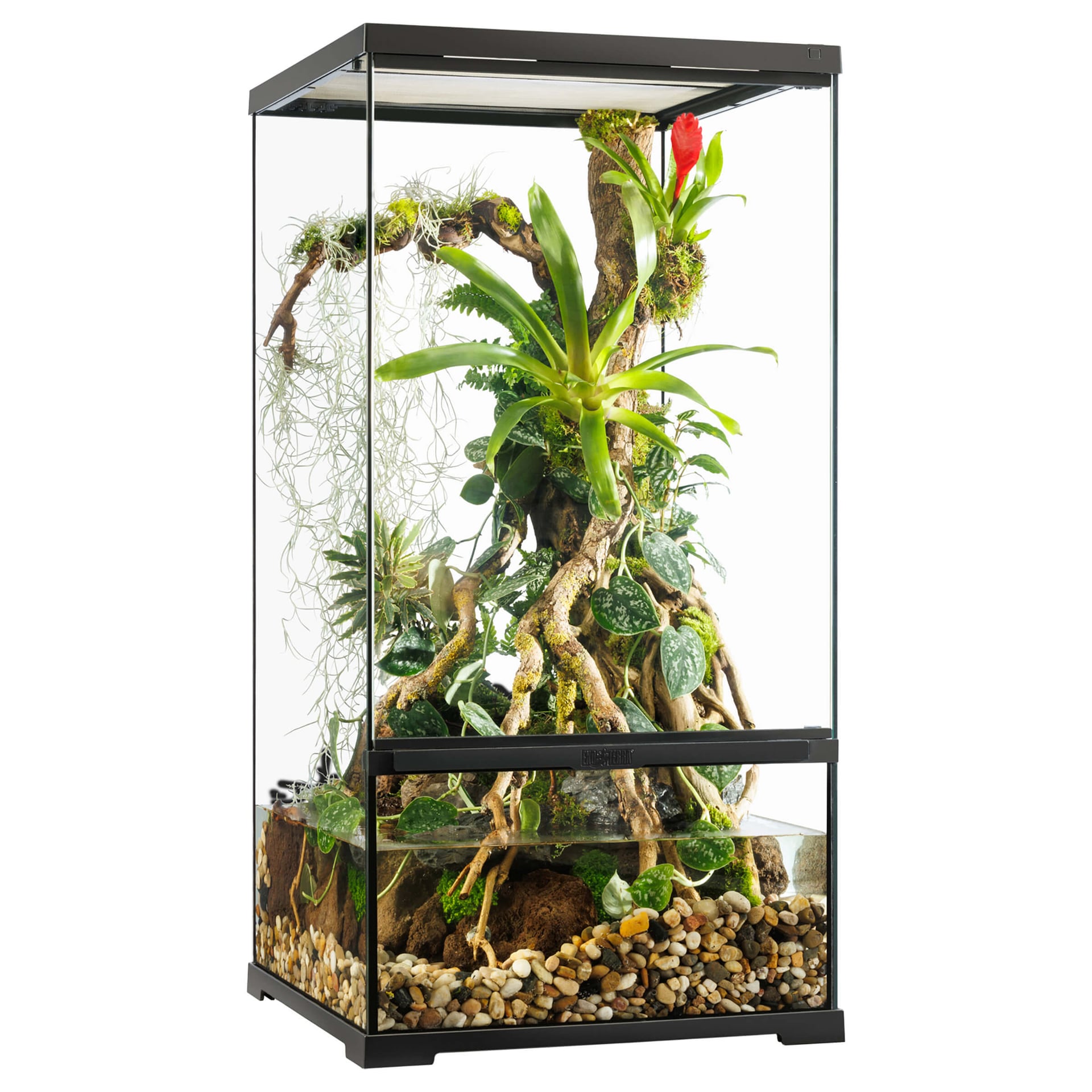 Paludarium Pro