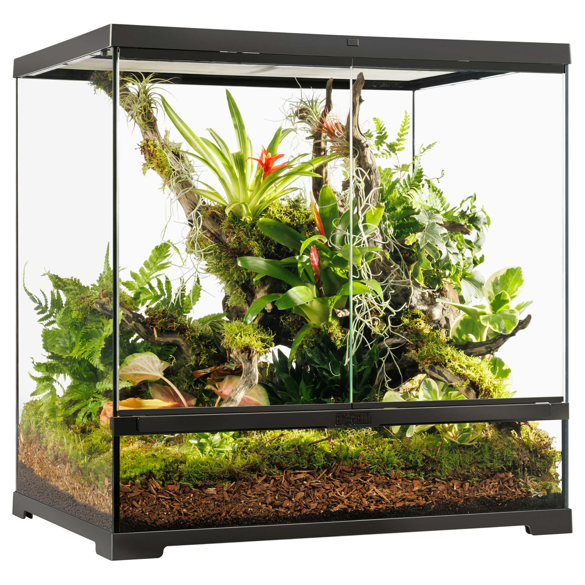 Terrarium Pro
