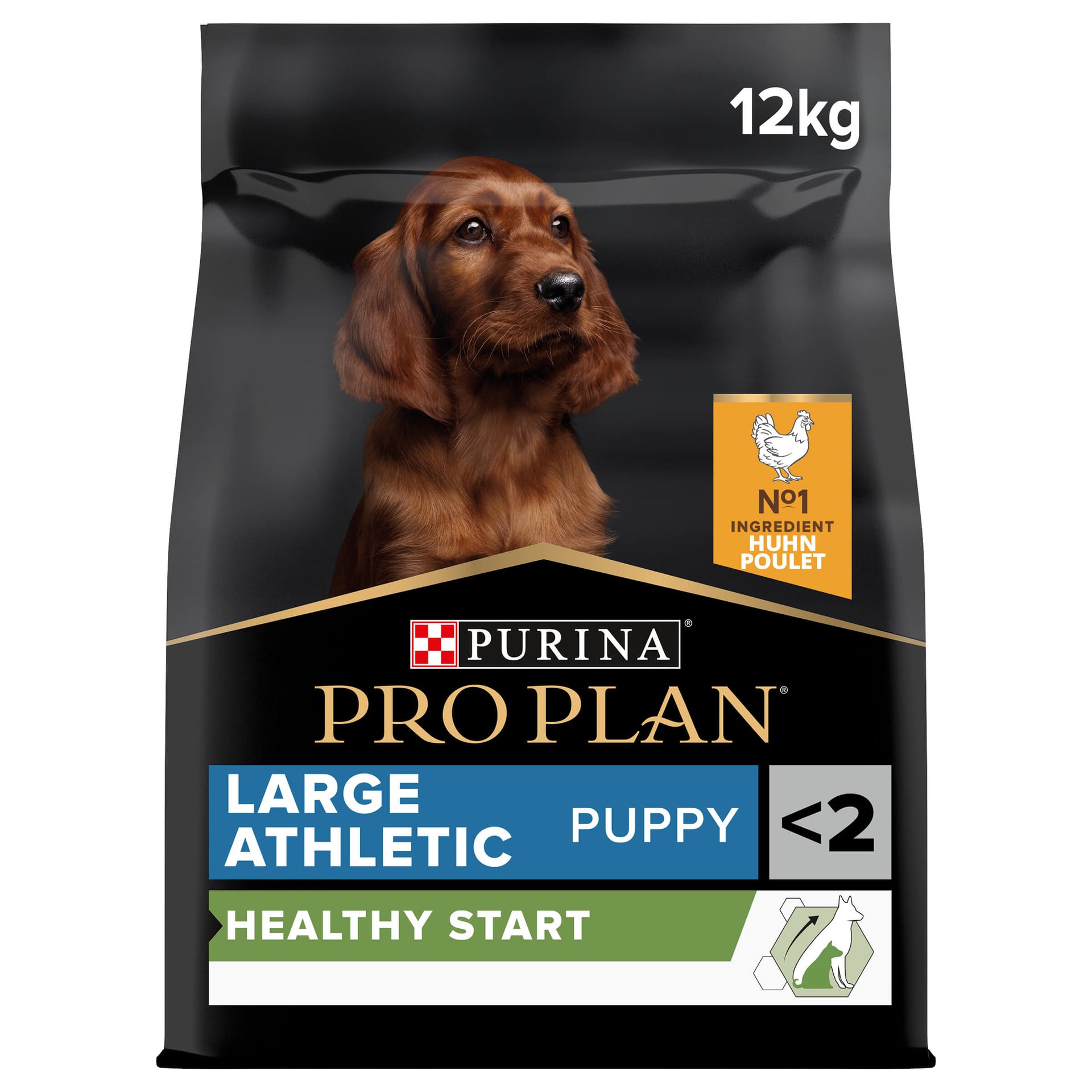 Puppy Large Athletic Healthy Start Huhn