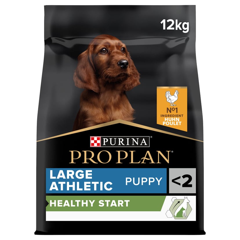 Puppy Large Athletic Healthy Start Huhn