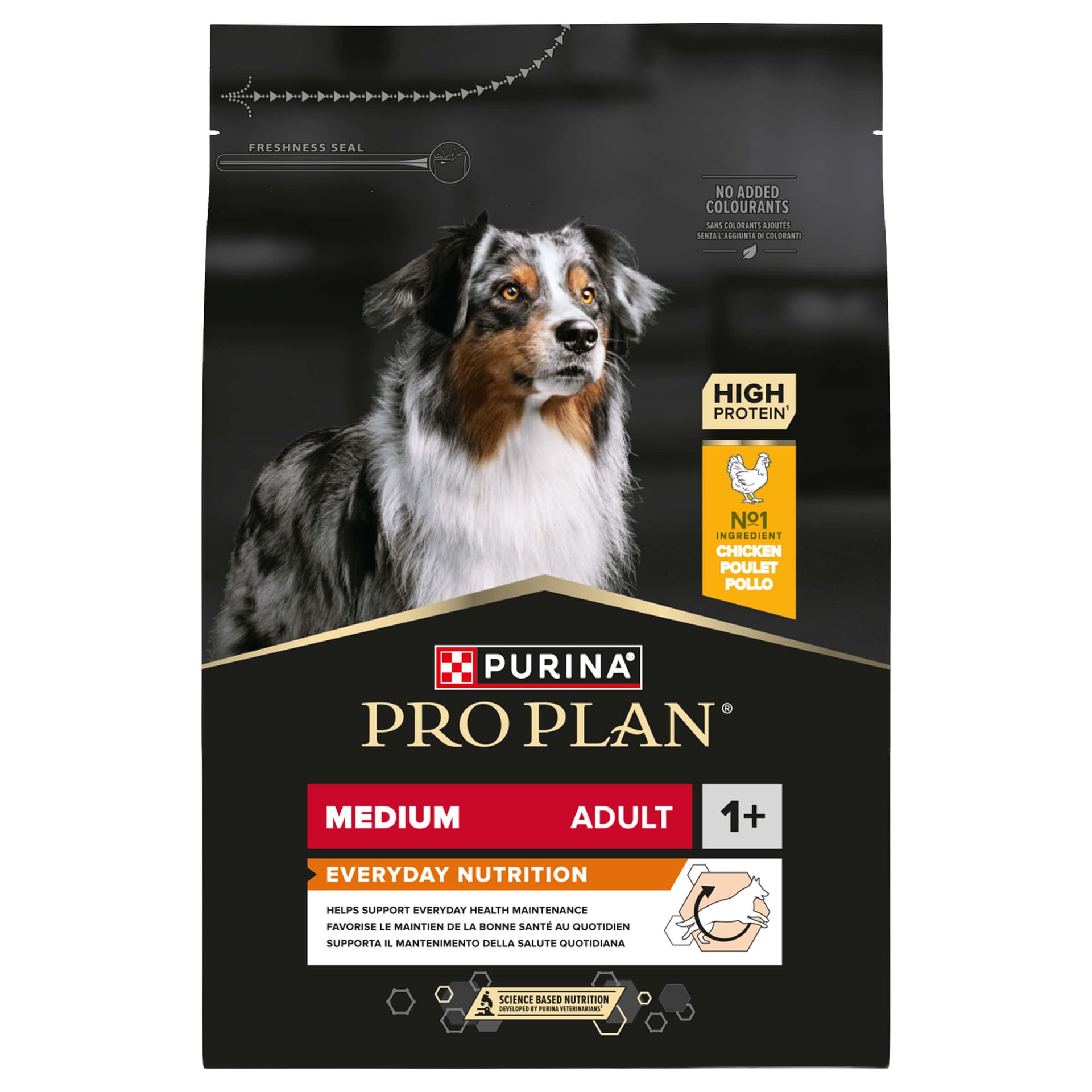 Medium Adult Everyday Nutrition