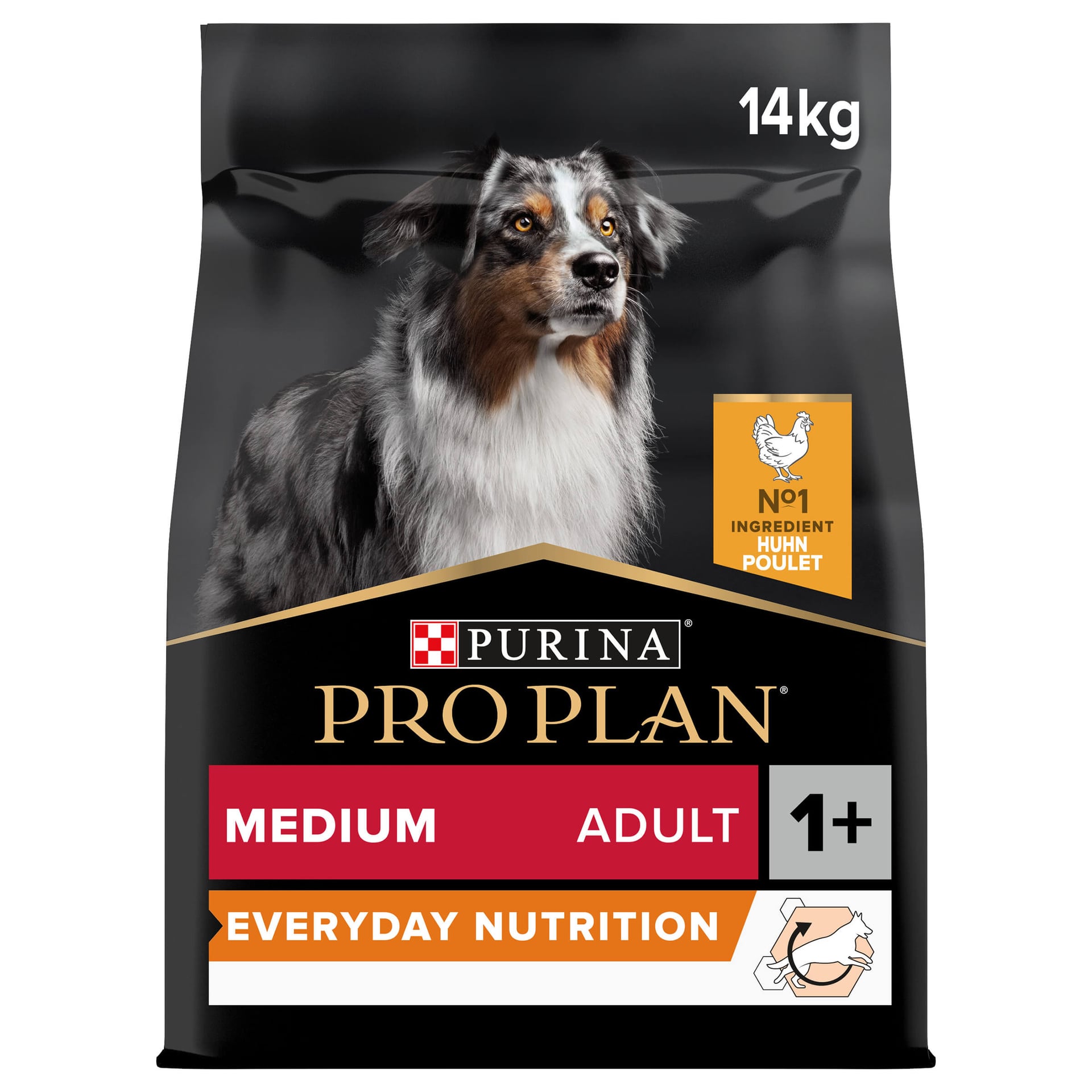 Medium Adult Everyday Nutrition