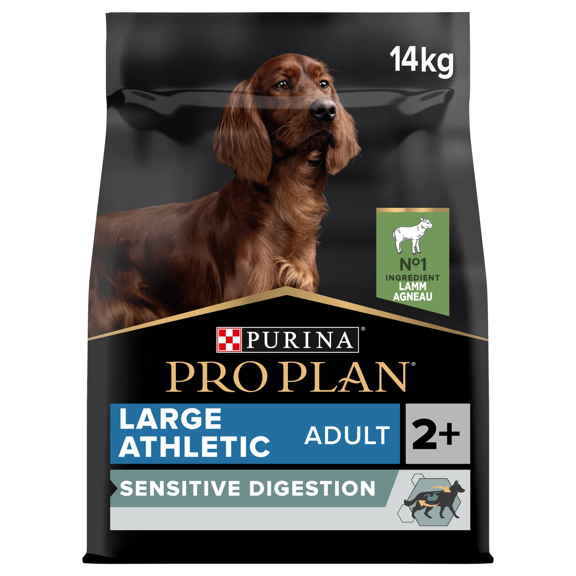 Large Athletic Sensitive Digestion Lamm