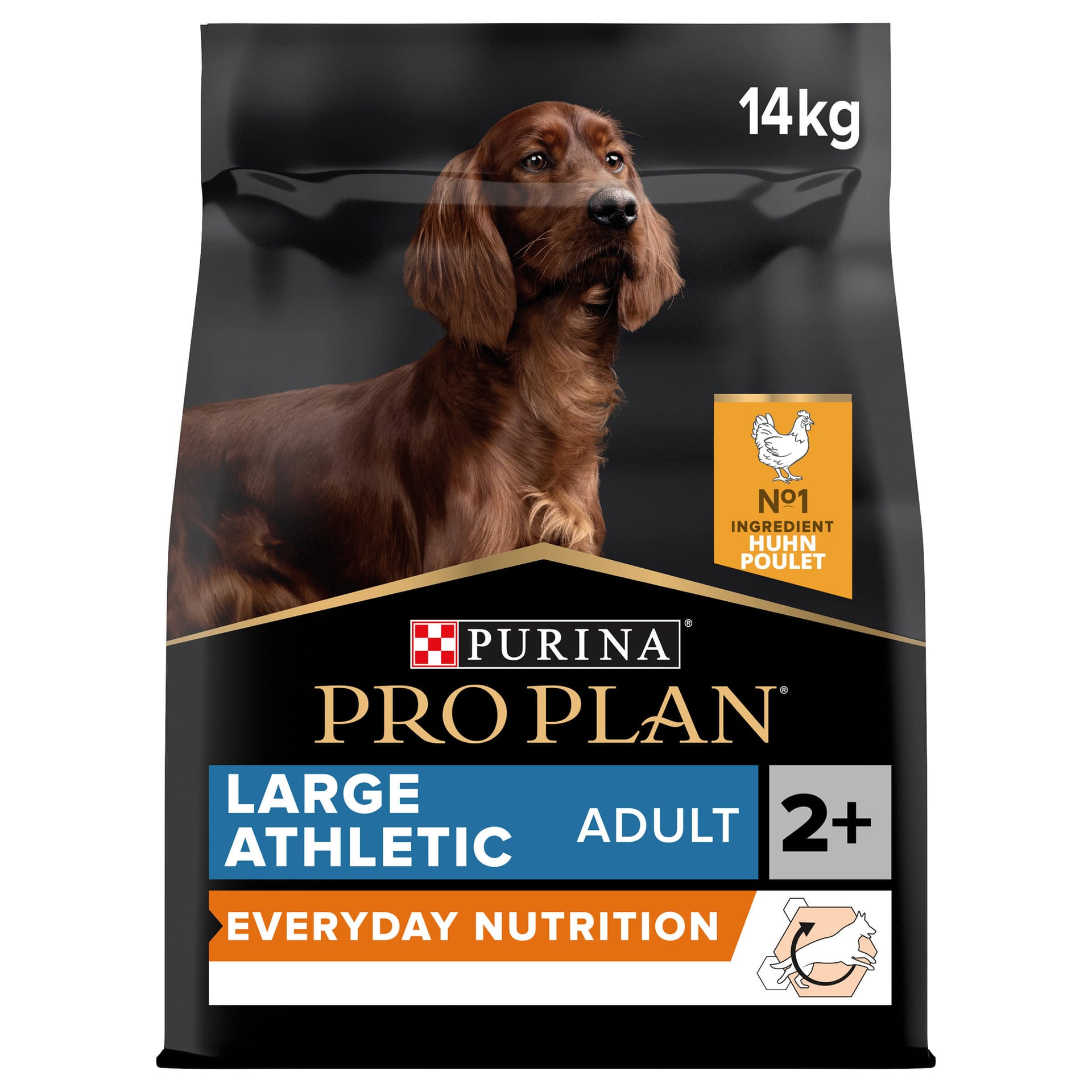 Large Athletic Everyday Nutrition reich an Huhn