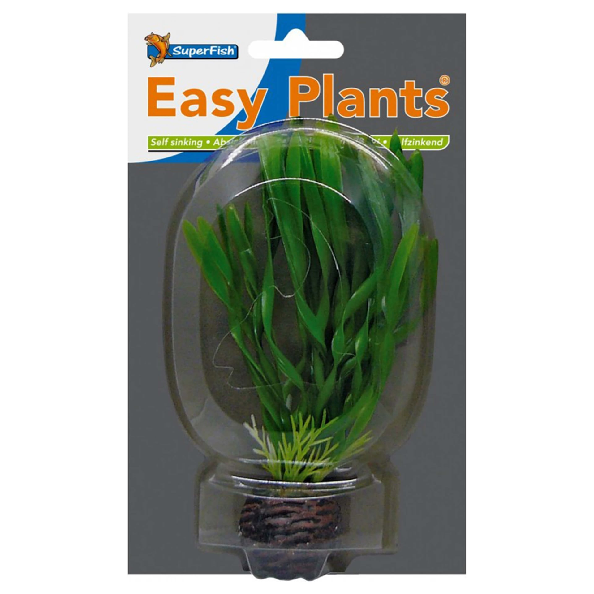 Easy Plants Avant-plan Nr. 6