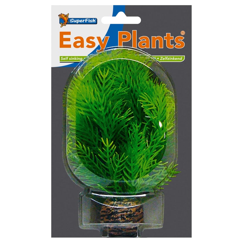 Easy Plants Avant-plan Nr. 9