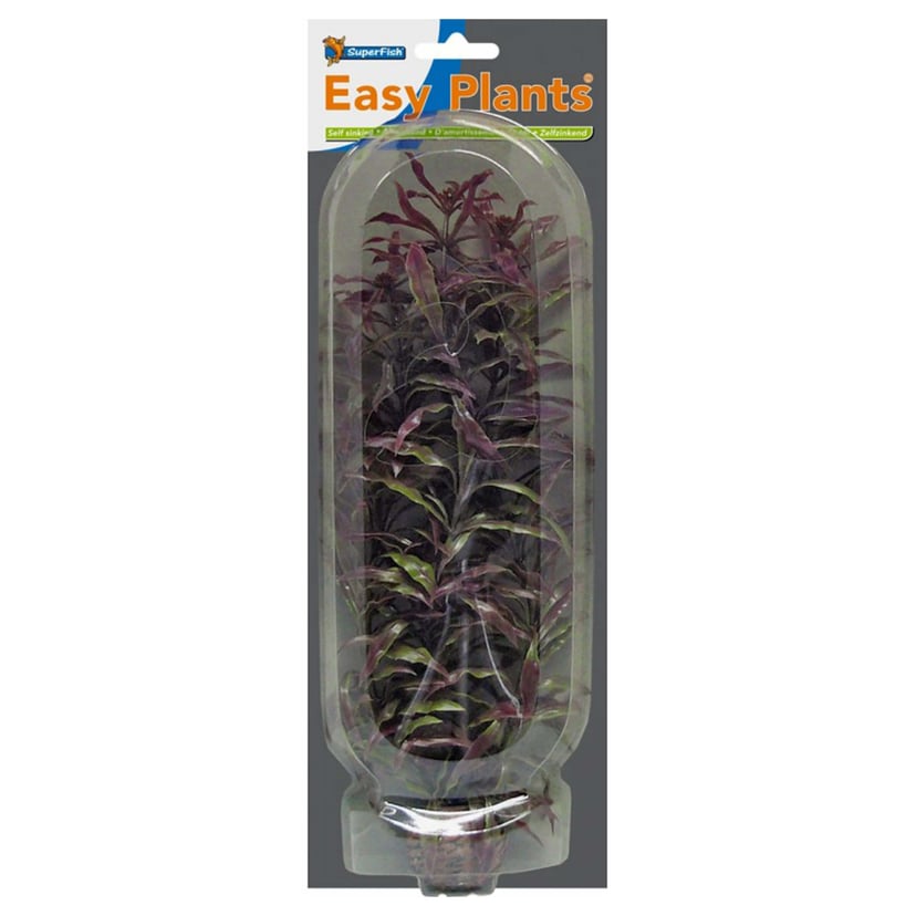 Easy Plants Arrière-plan Nr. 3