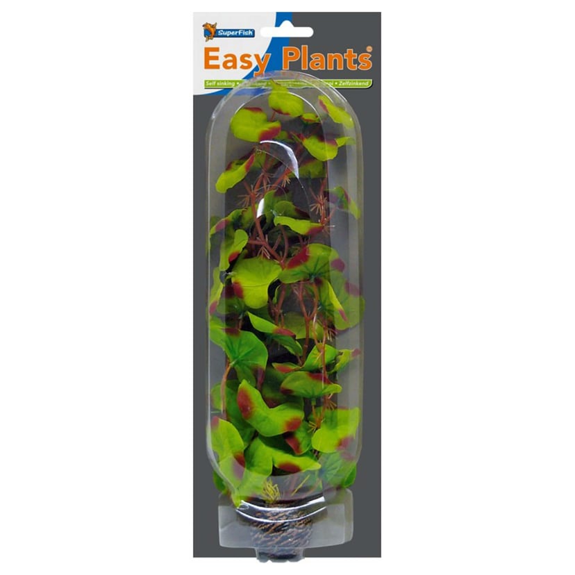 Easy Plants Plante d'aquarium Nr. 13