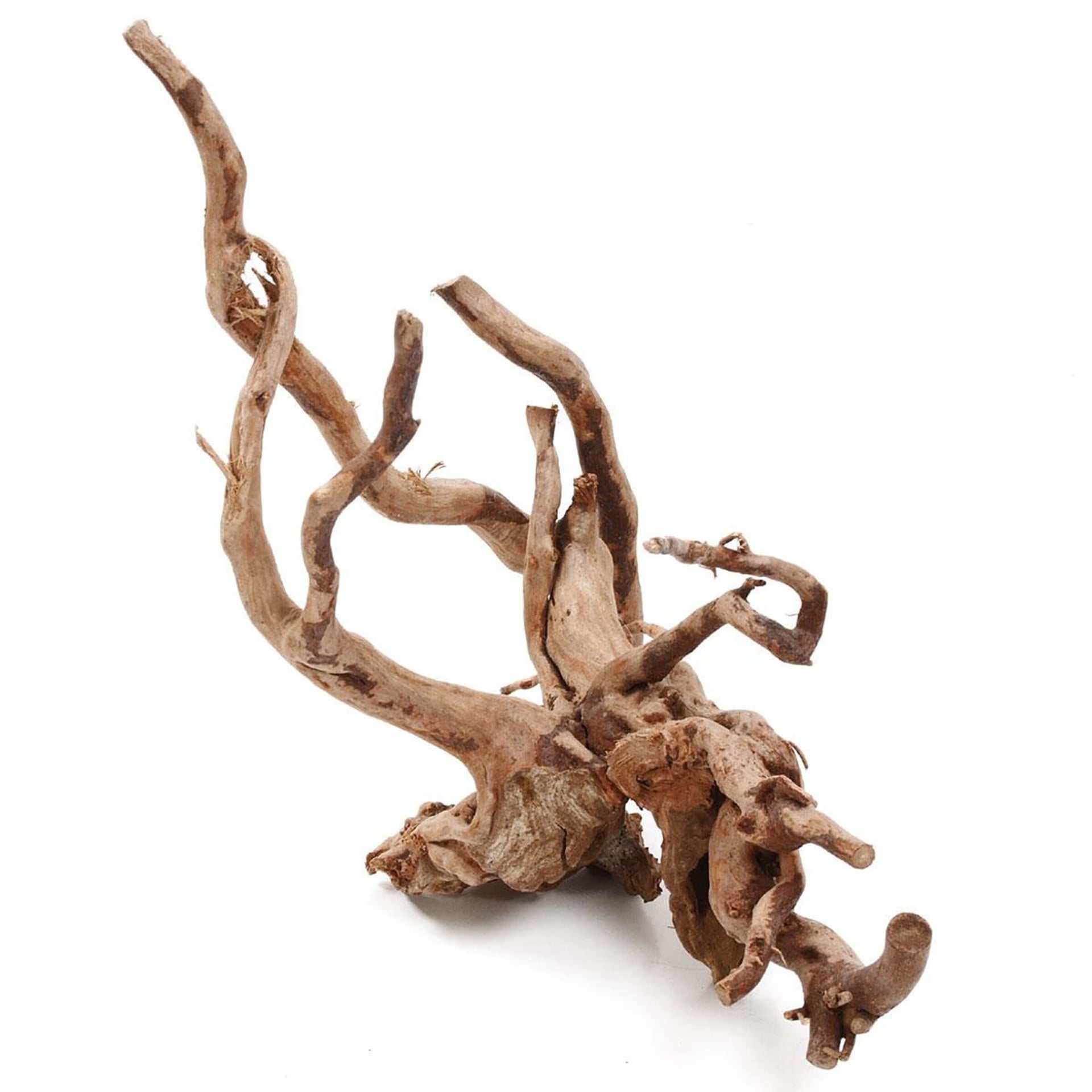 Spiderholz Racines ramifiées pour aquariums & terrariums