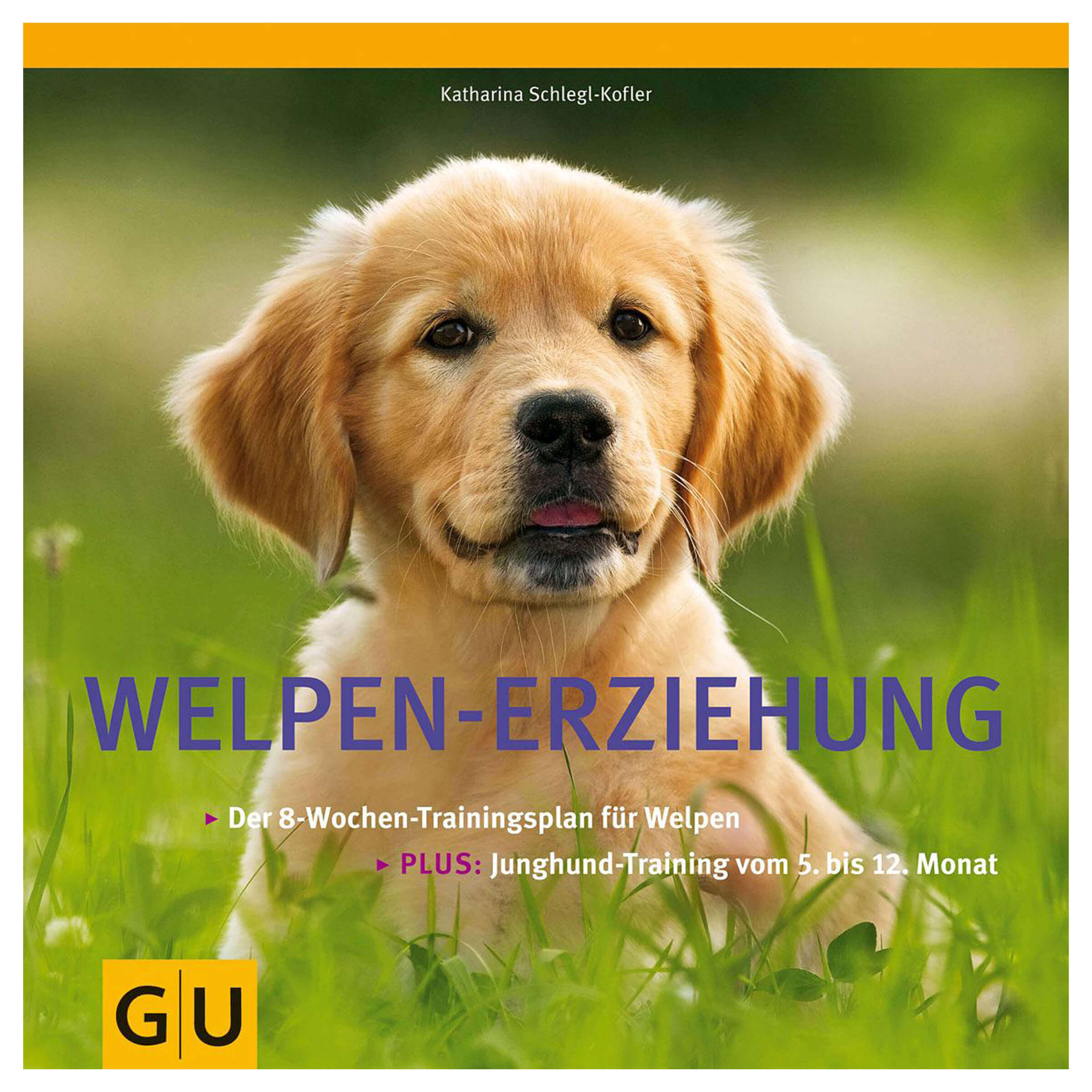 Welpen-Erziehung