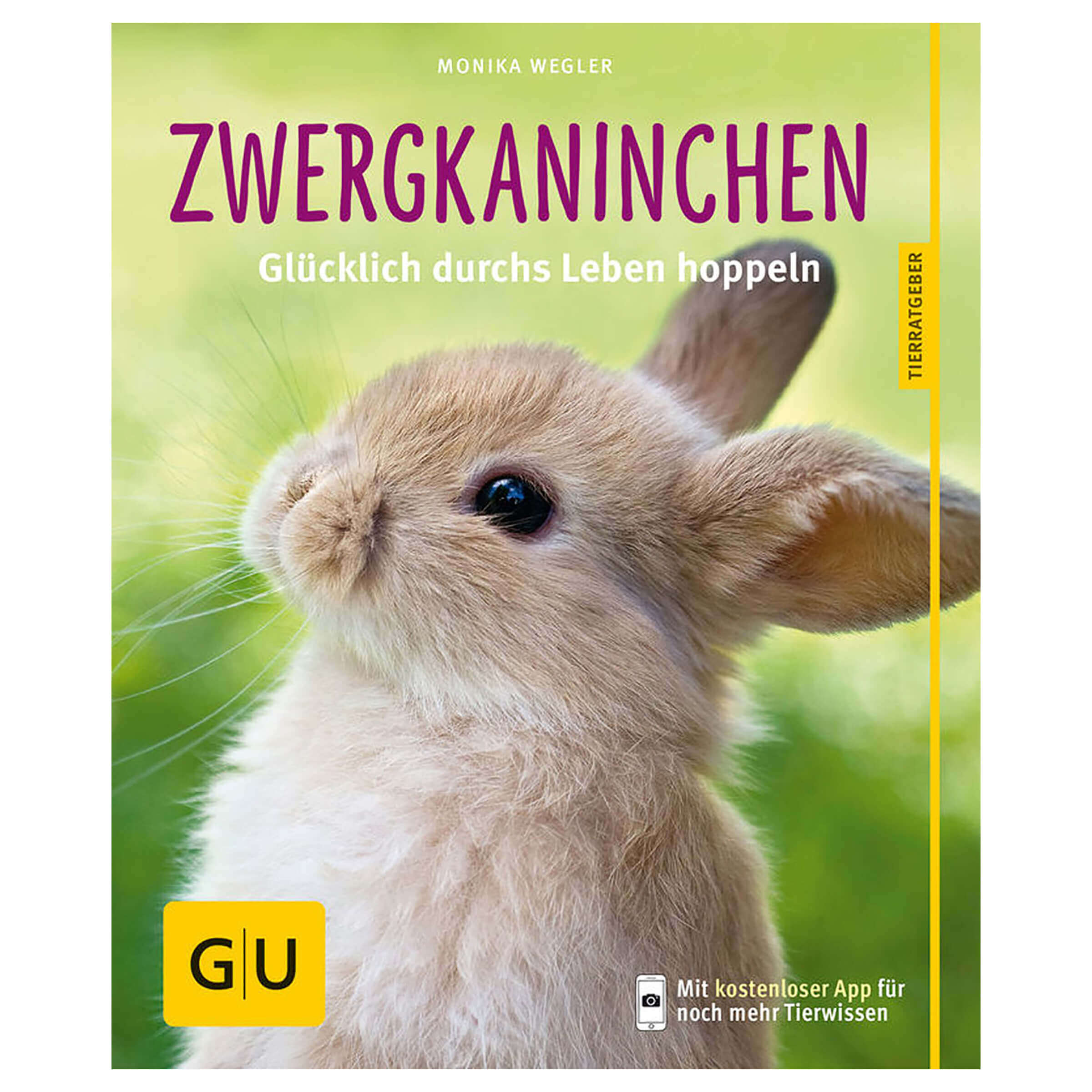Zwergkaninchen