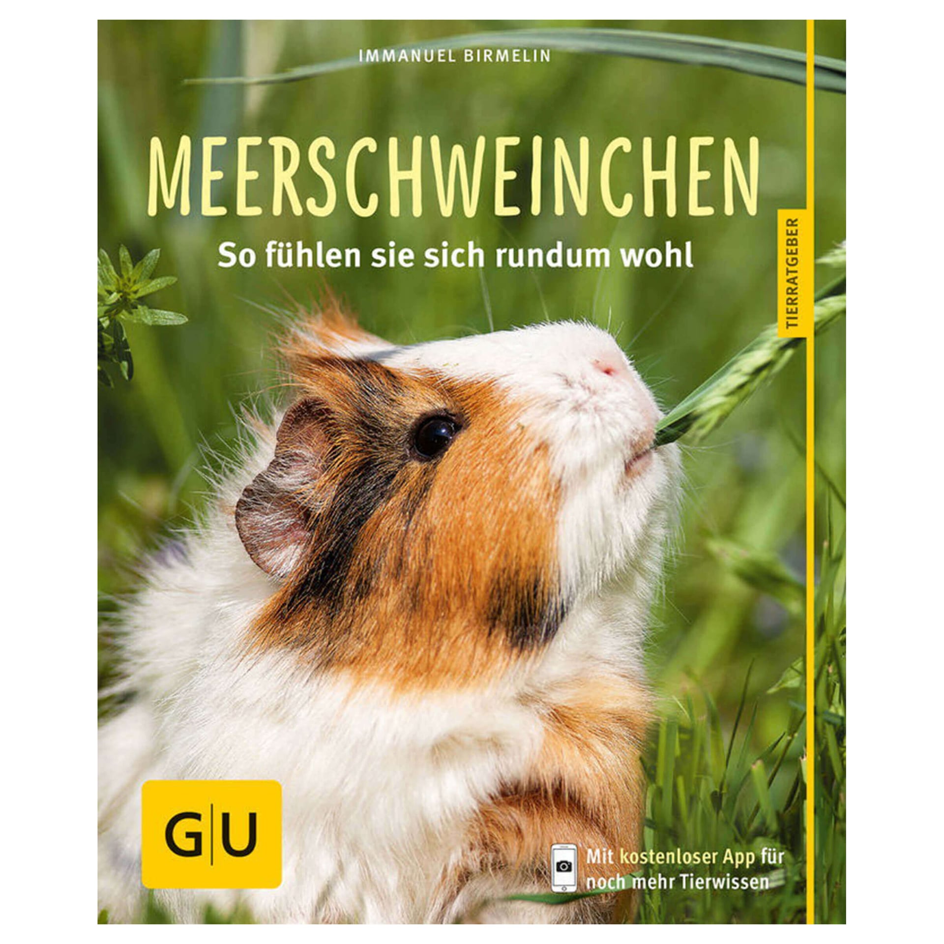 Meerschweinchen