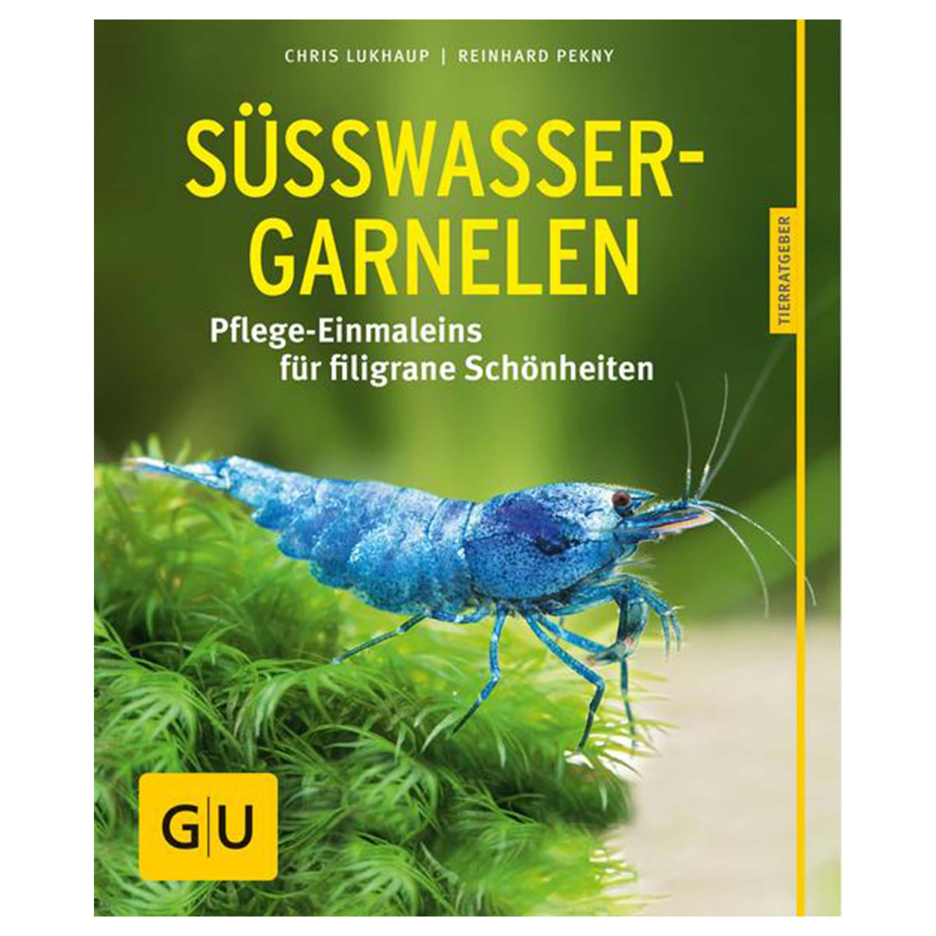 Süsswasser-Garnelen