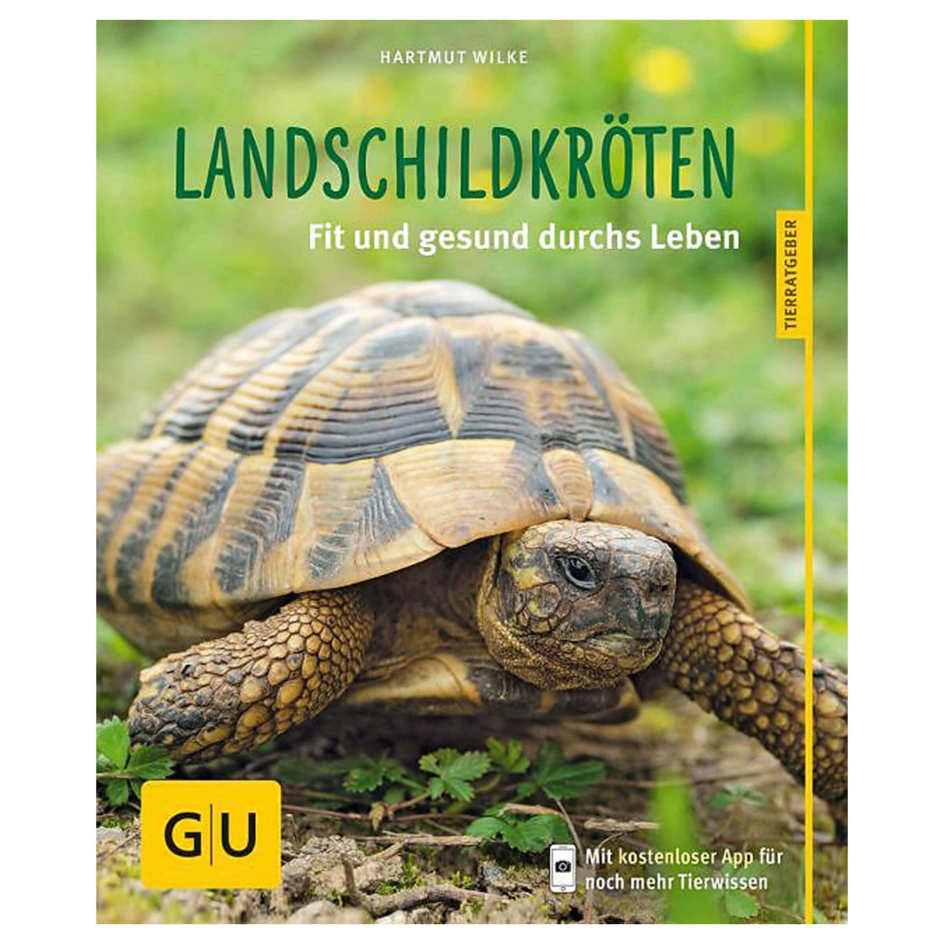 Landschildkröten