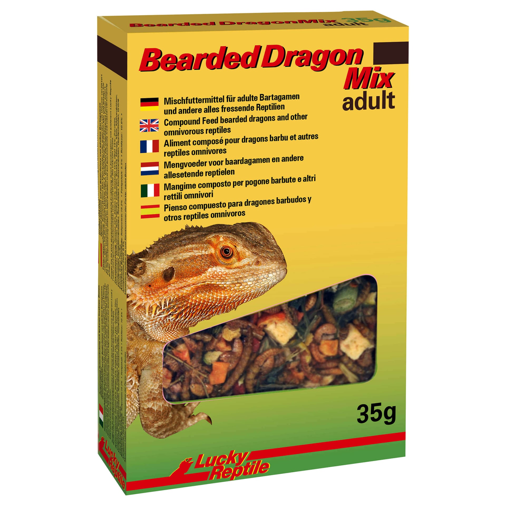 Bearded Dragon Mix Adulte