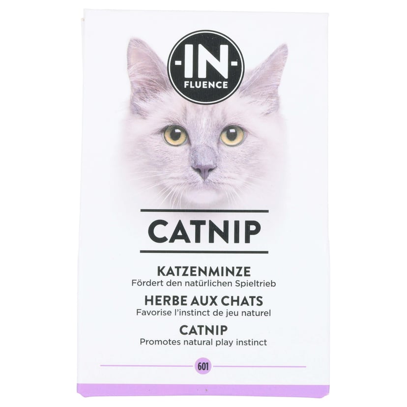 Katzenminze Blätter