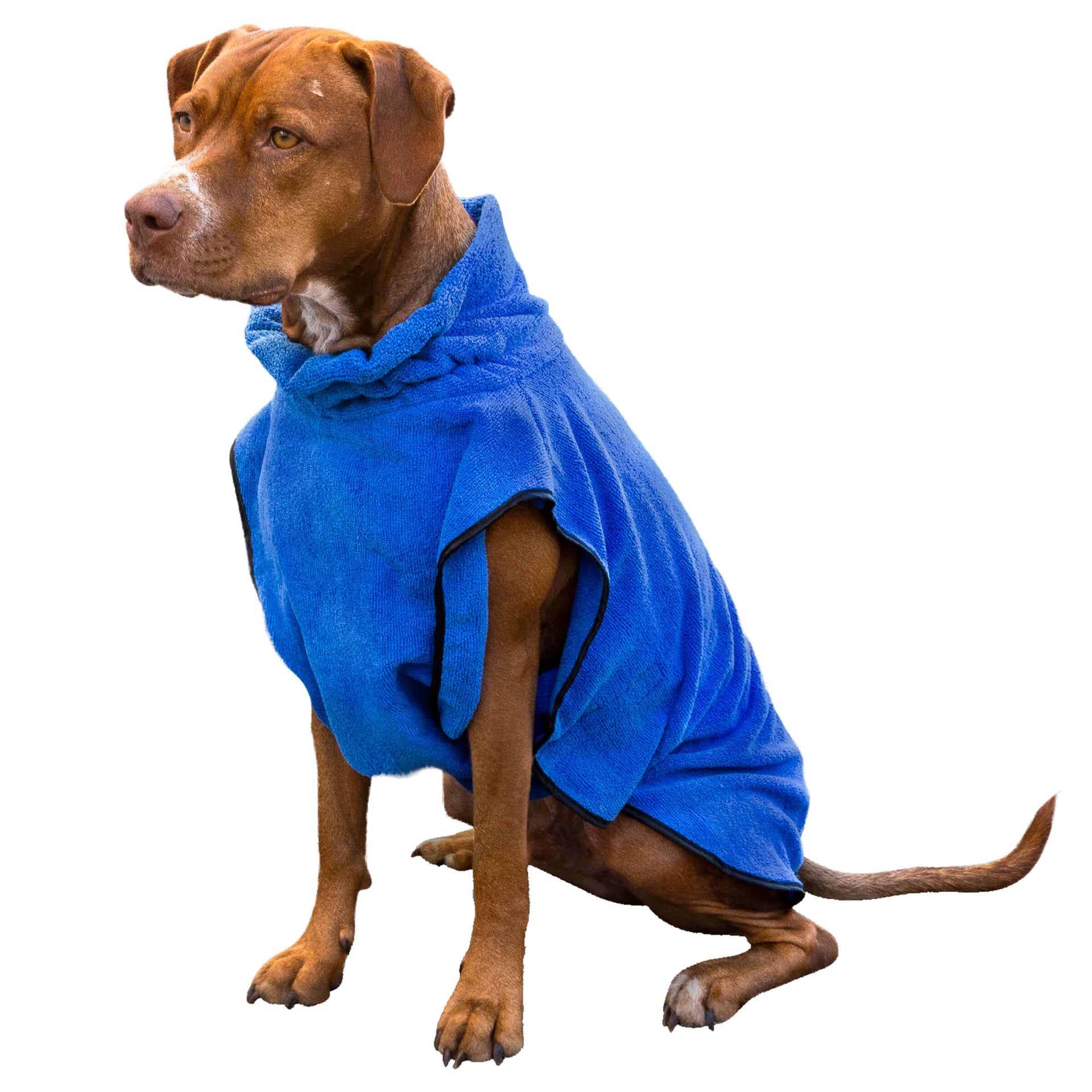Peignoir pour chien