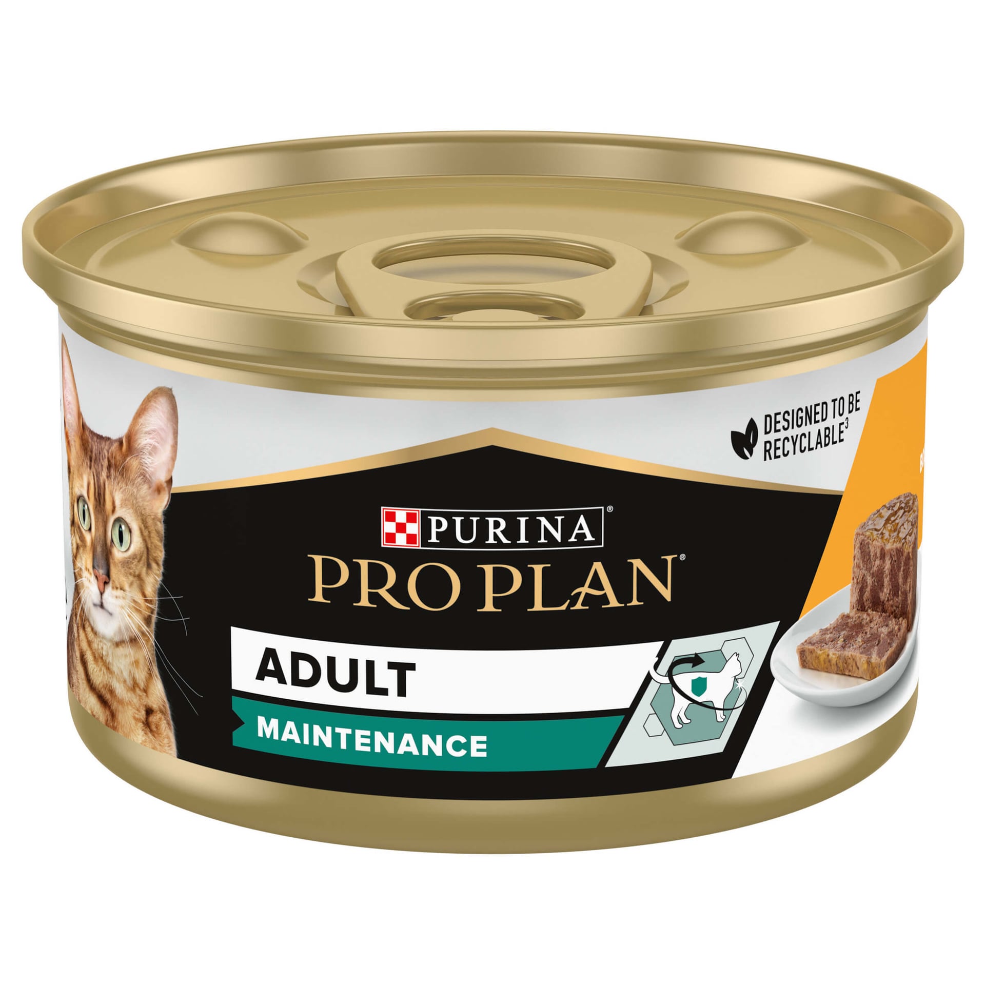 Adult Maintenance Huhn Terrine