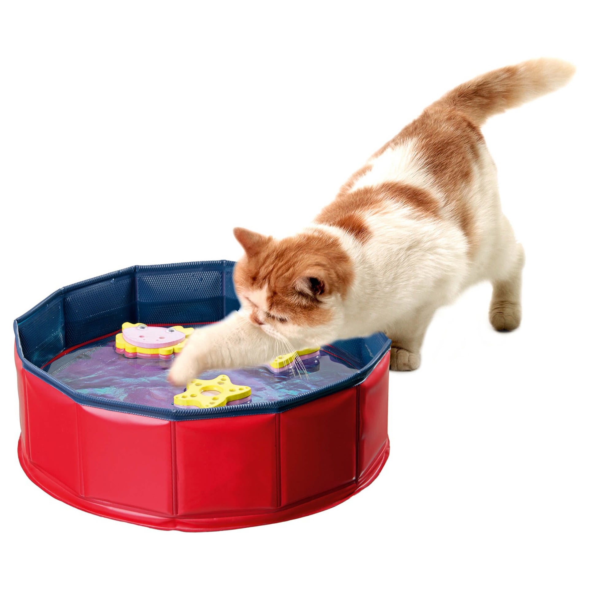 Katzenpool Kitty Lake mit Wasserspielzeug