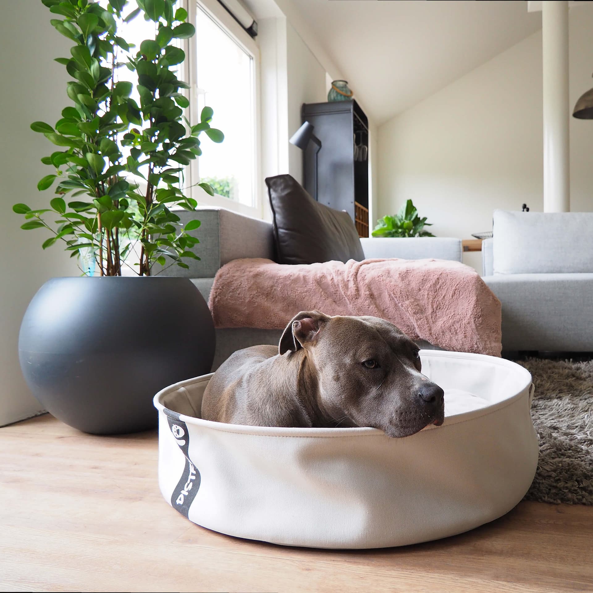 LOUNGE Bett 3er Set
