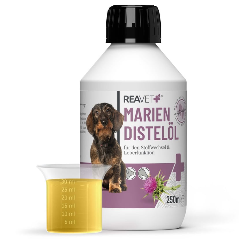 Huile de chardon-marie pour chiens et cheval