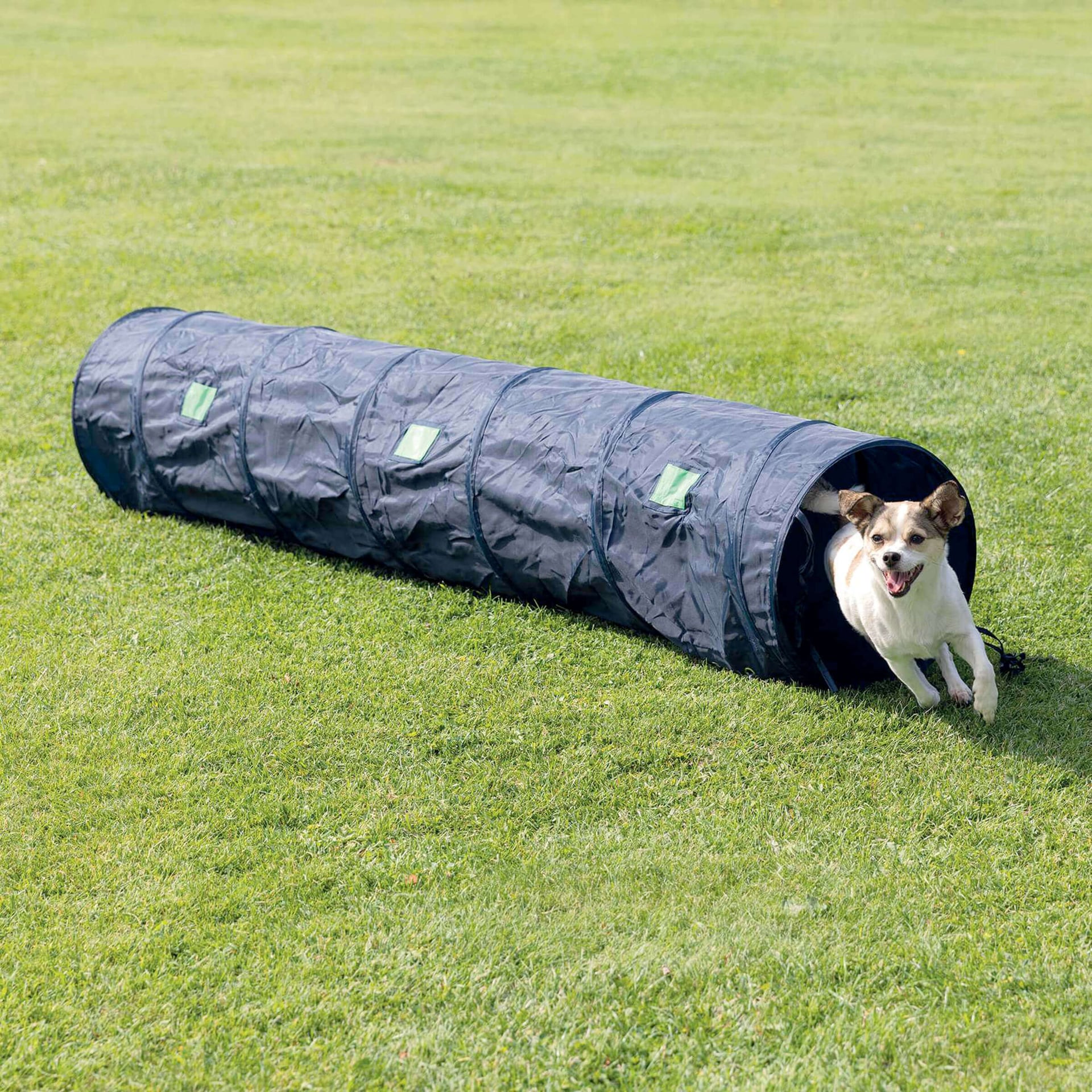 Dog Activity Agility Tunnel
