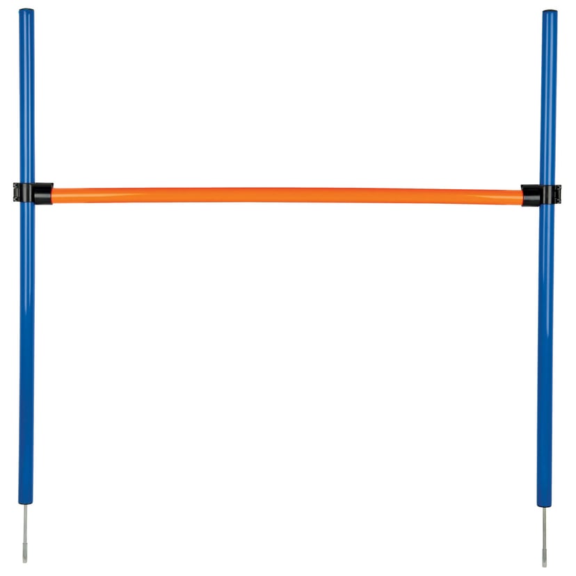 Activity Agility Hürde