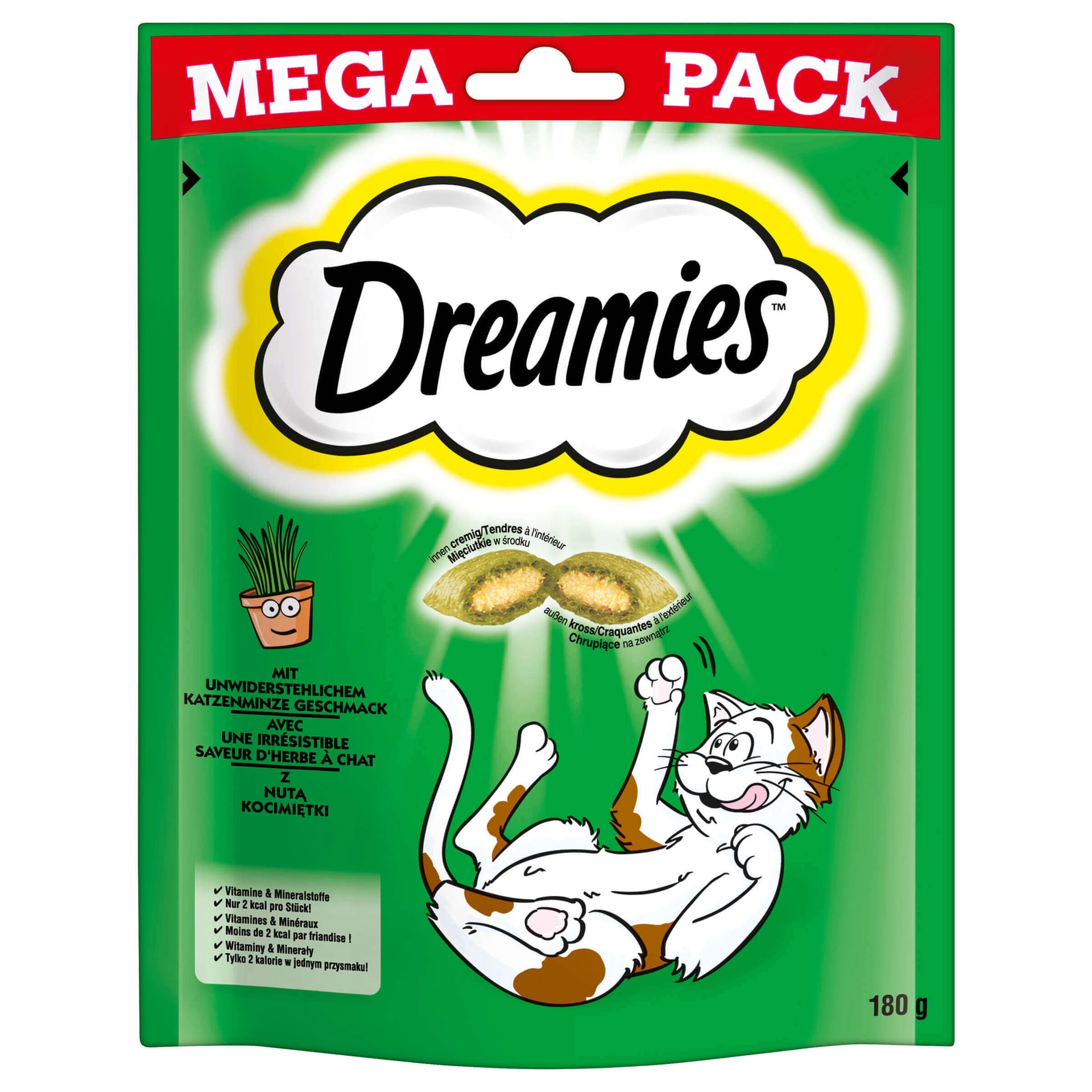 MEGA PACK mit Katzenminze