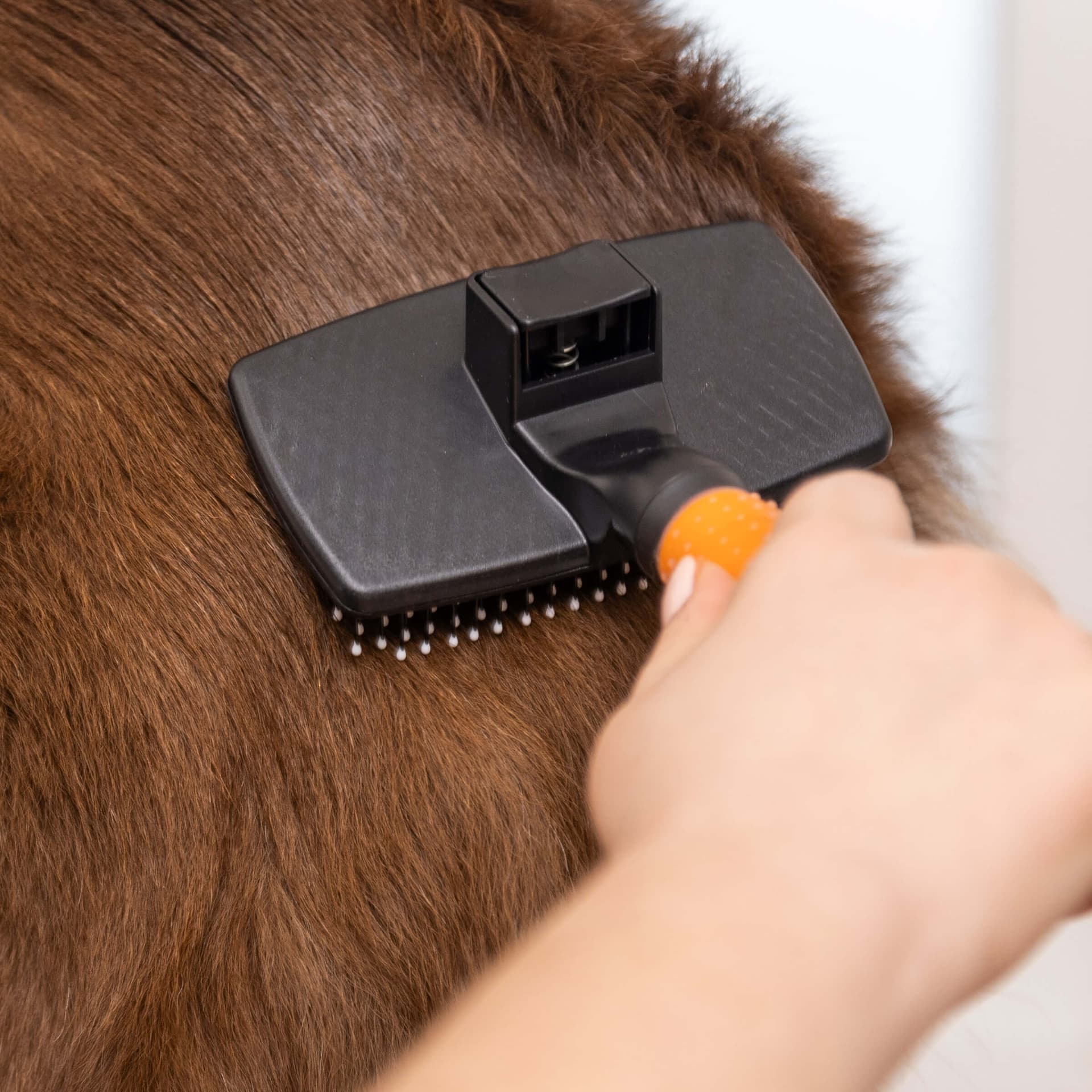 Brosse à carde autonettoyante grand