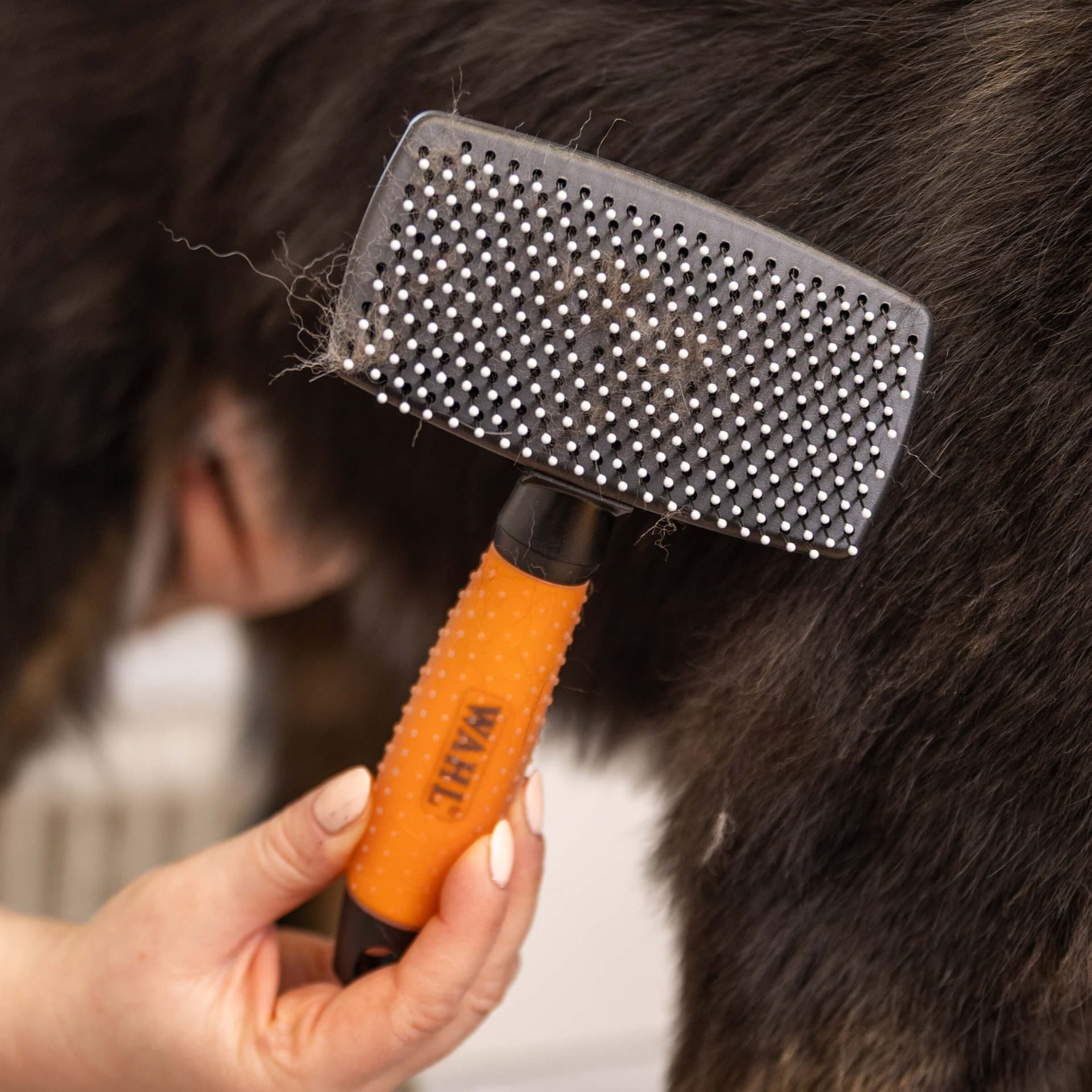 Brosse à carde autonettoyante grand