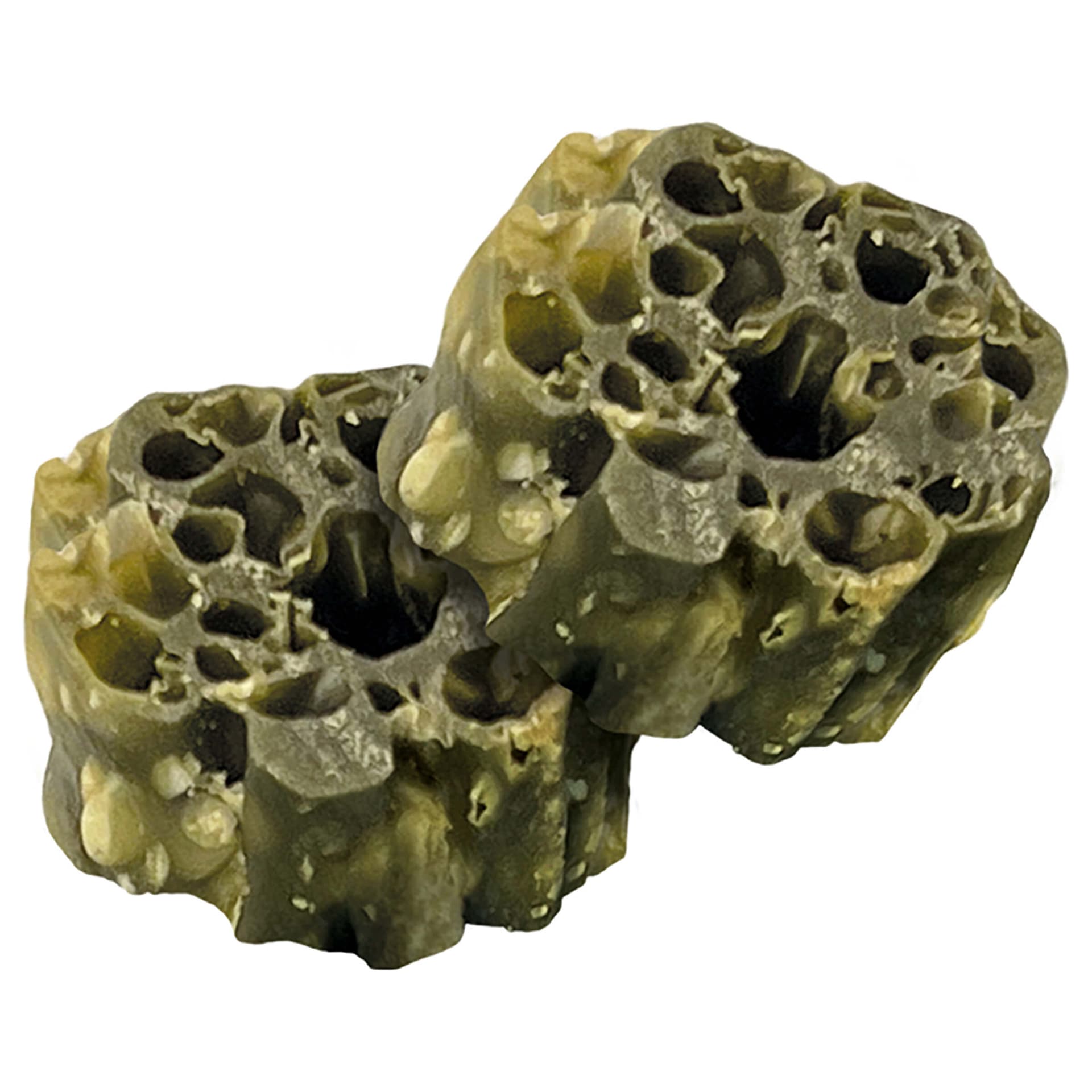Woofa-Loofa Dental morceaux