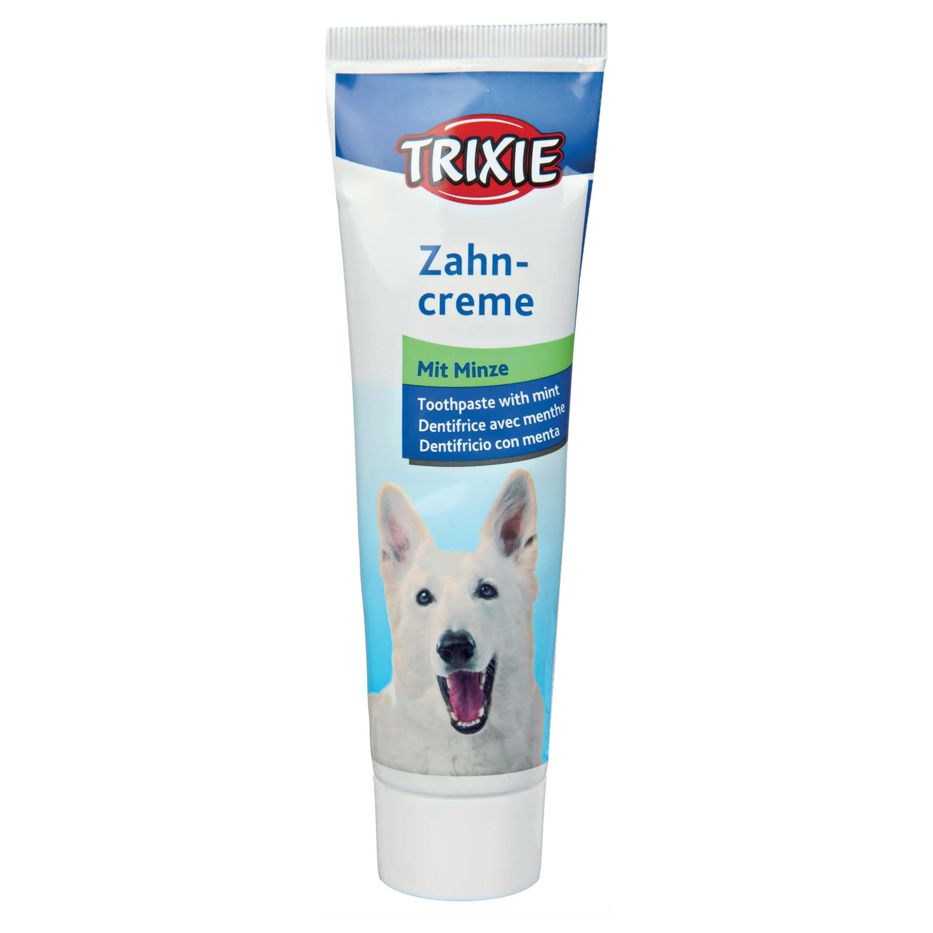 Set hygiène dentaire, chien