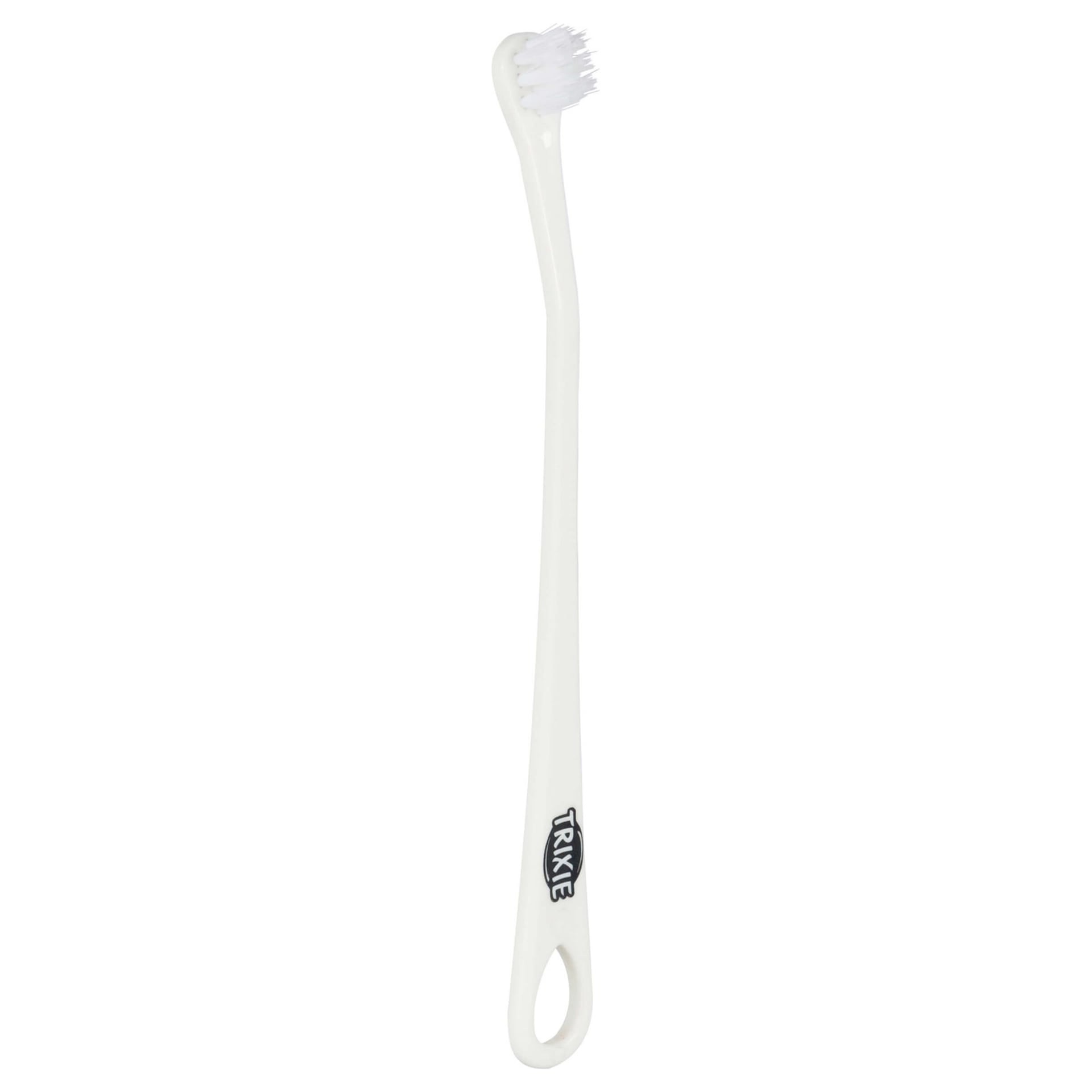 Set brosses à dents chiens & chats