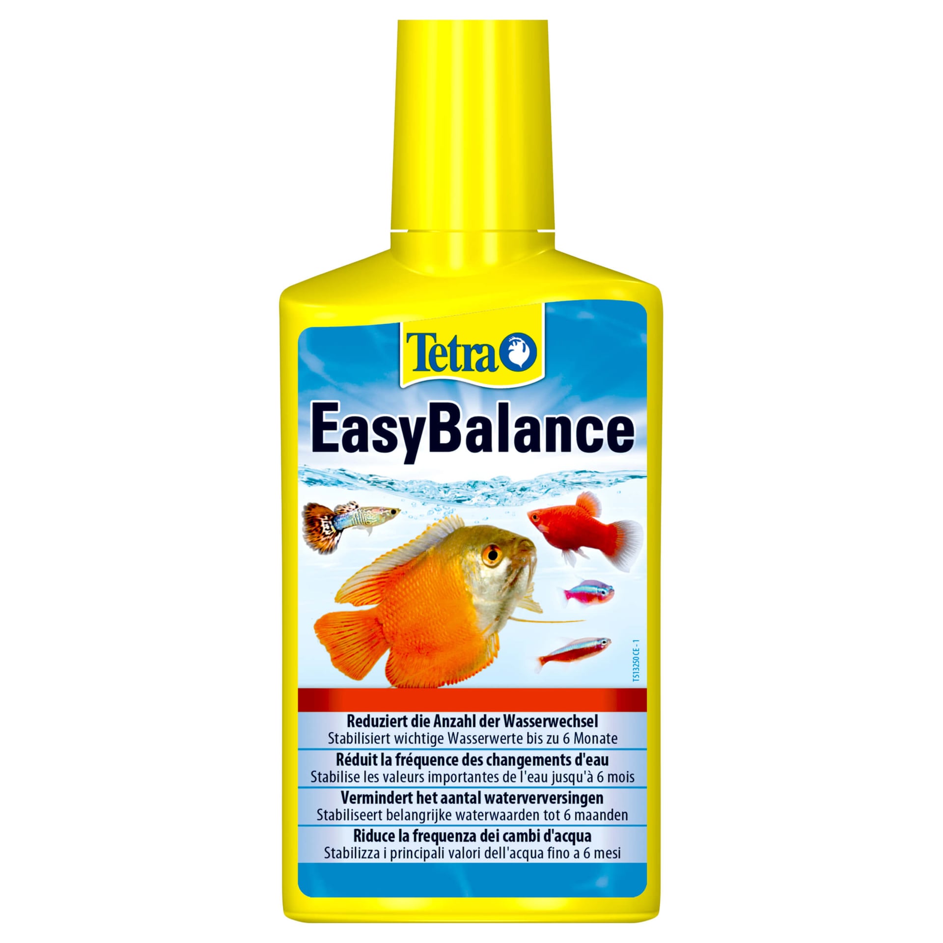 EasyBalance