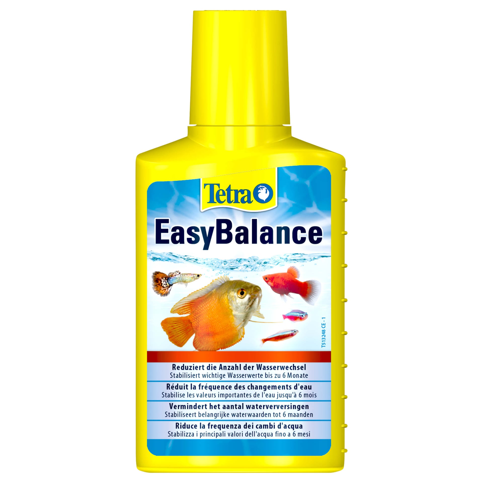 EasyBalance
