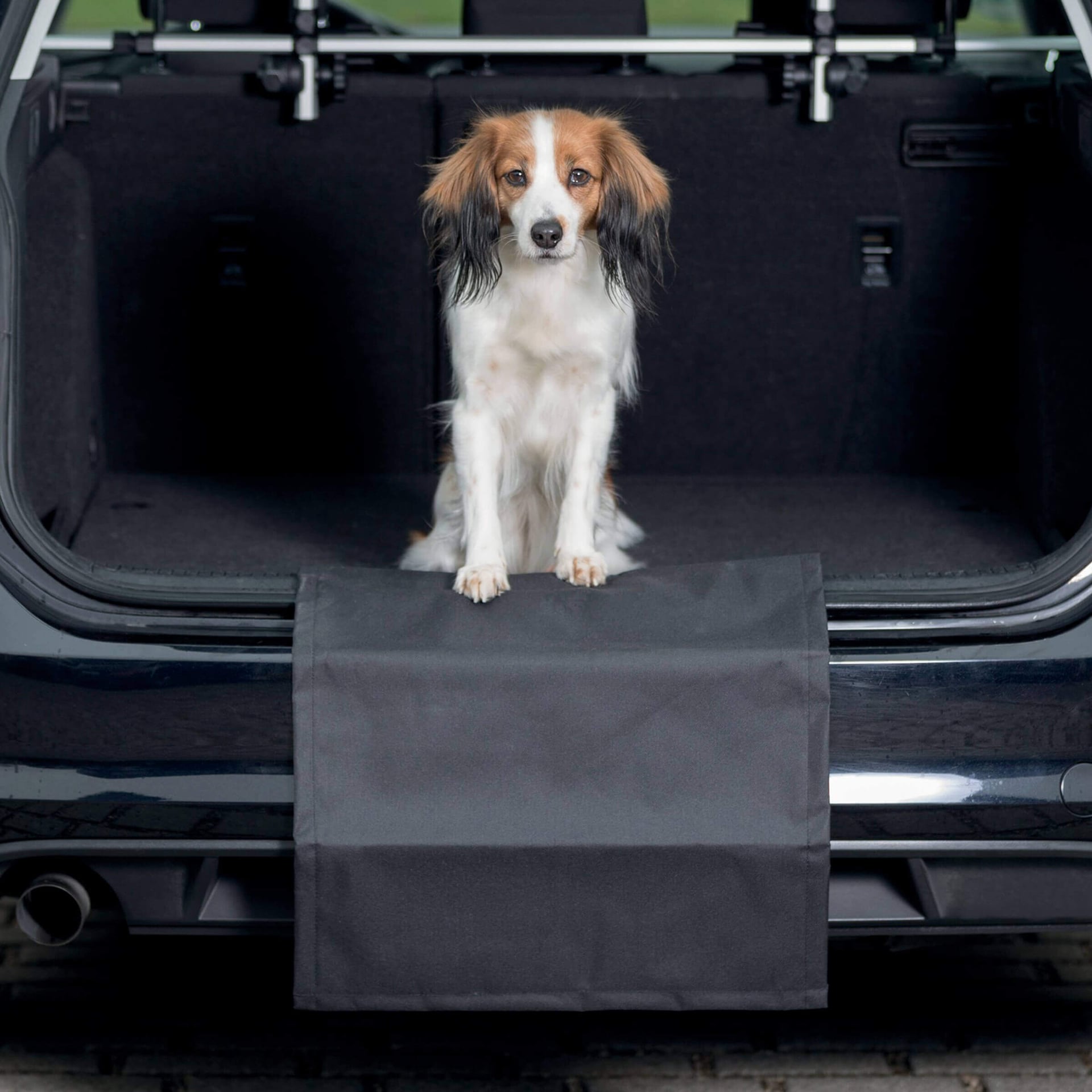 Stossstangenschutz Hund