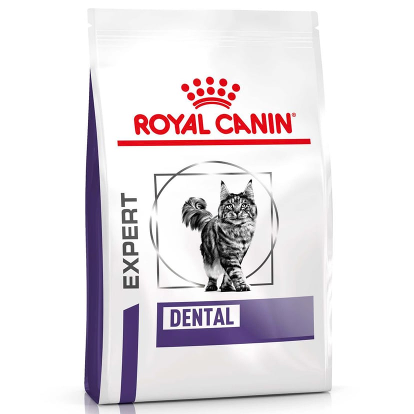 Dental Dry