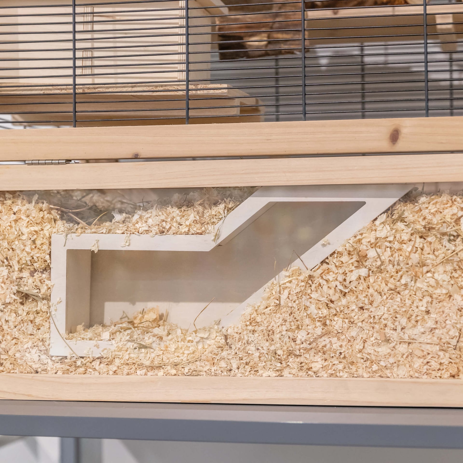 Watchbox mit Tunnel