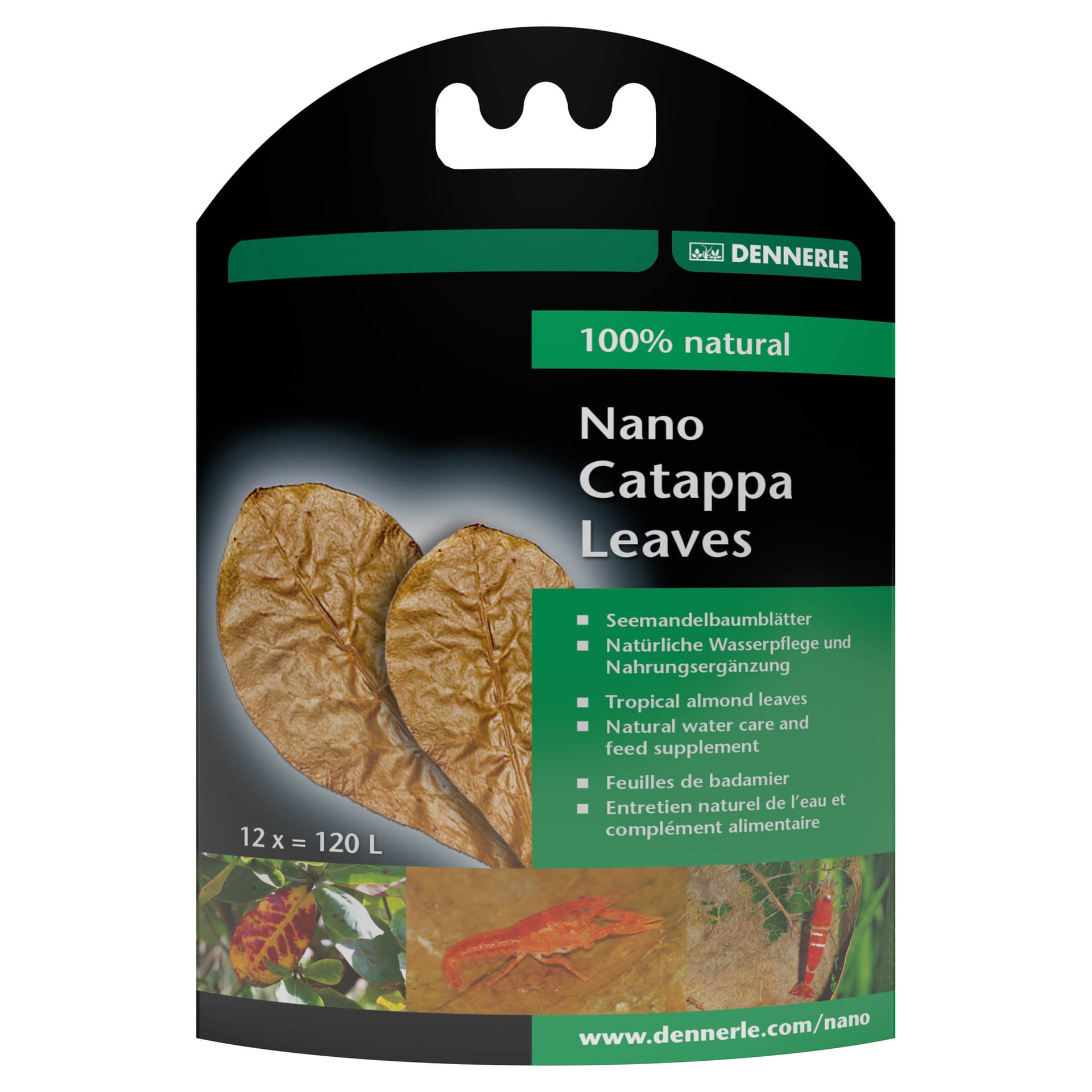 Nano Catappa Leaves Seemandelbaumblätter