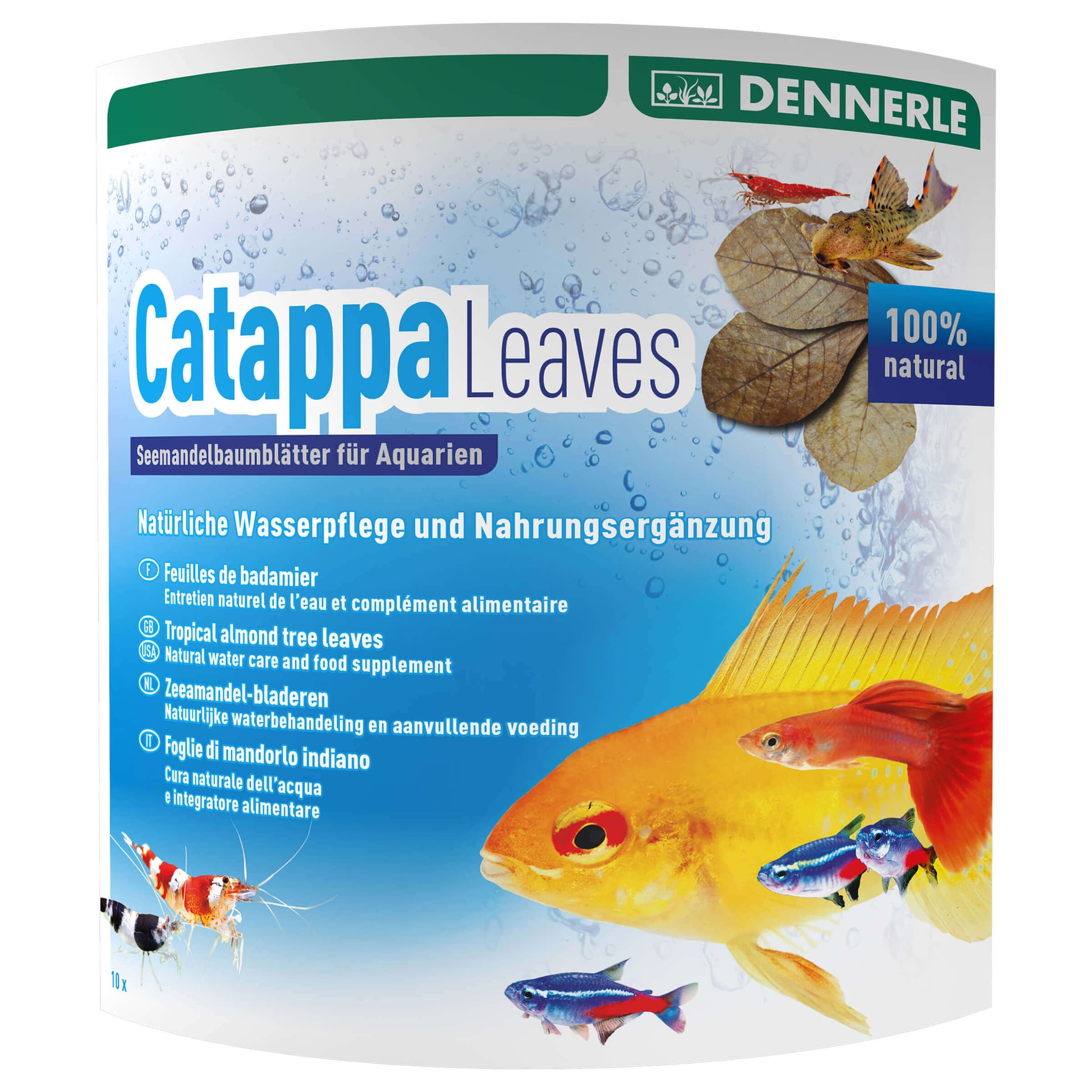 AquaRico Catappa Leaves