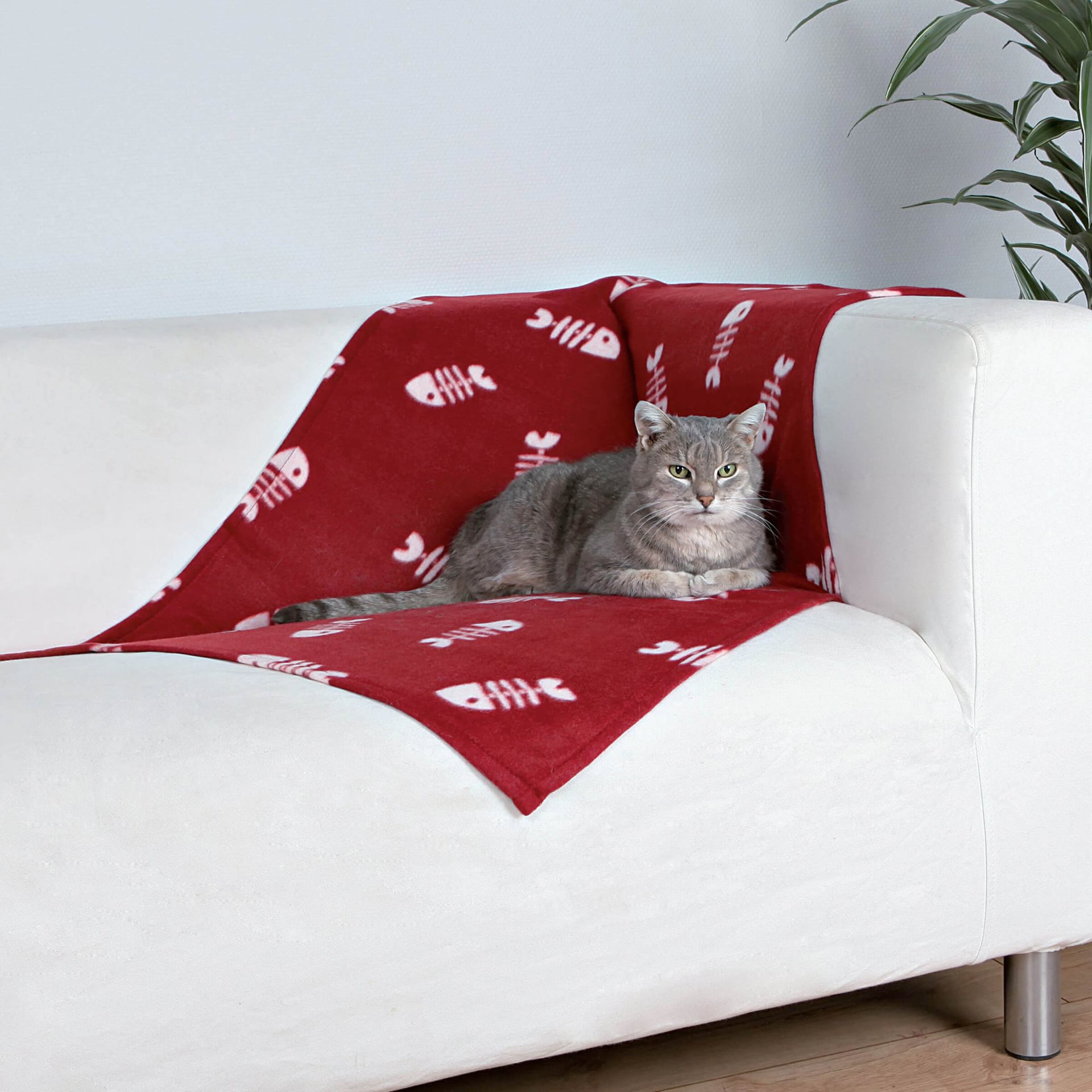 Couverture Beany