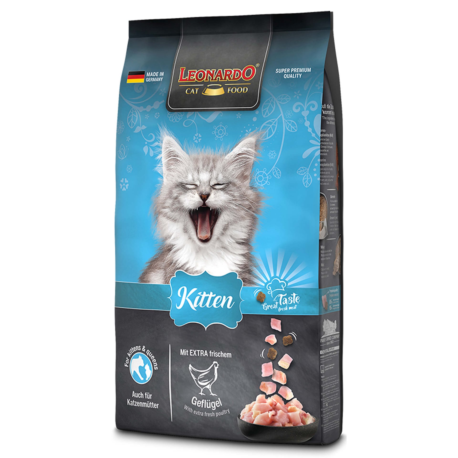 Kitten