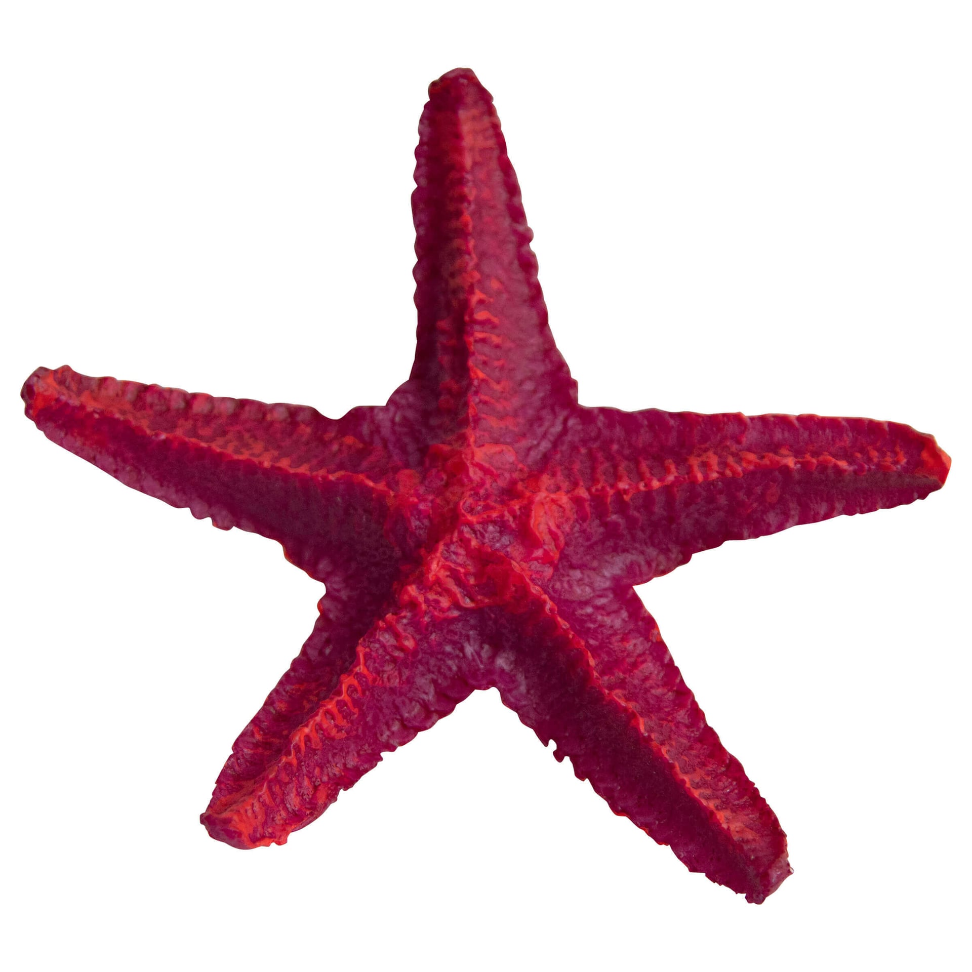 Décoration d'aquarium Star Fish