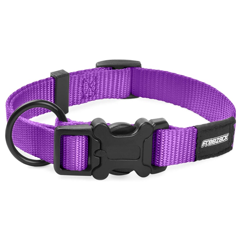 Collier pour chien BasicUni