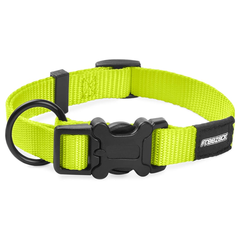 Collier pour chien BasicUni