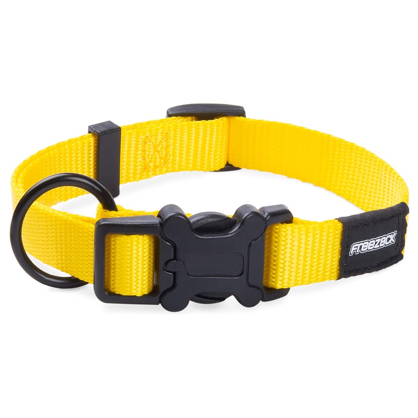 Collier pour chien BasicUni