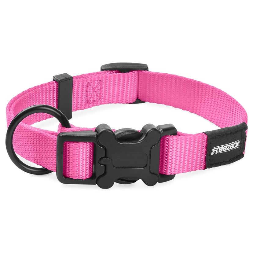Collier pour chien BasicUni