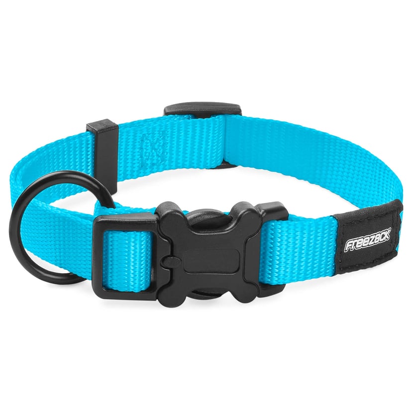 Collier pour chien BasicUni