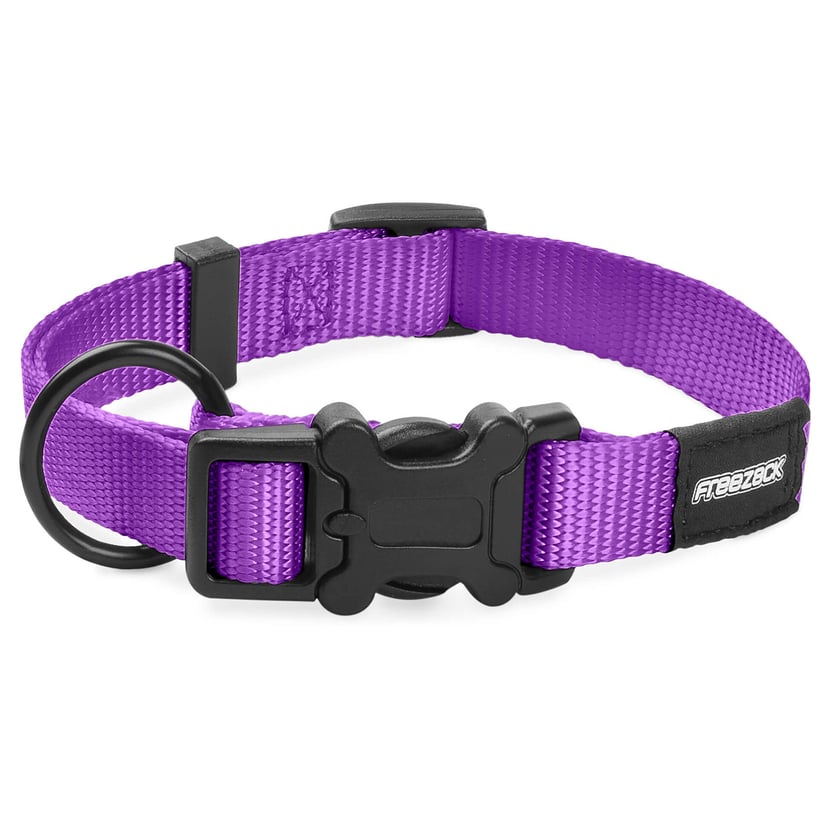 Collier pour chien BasicUni